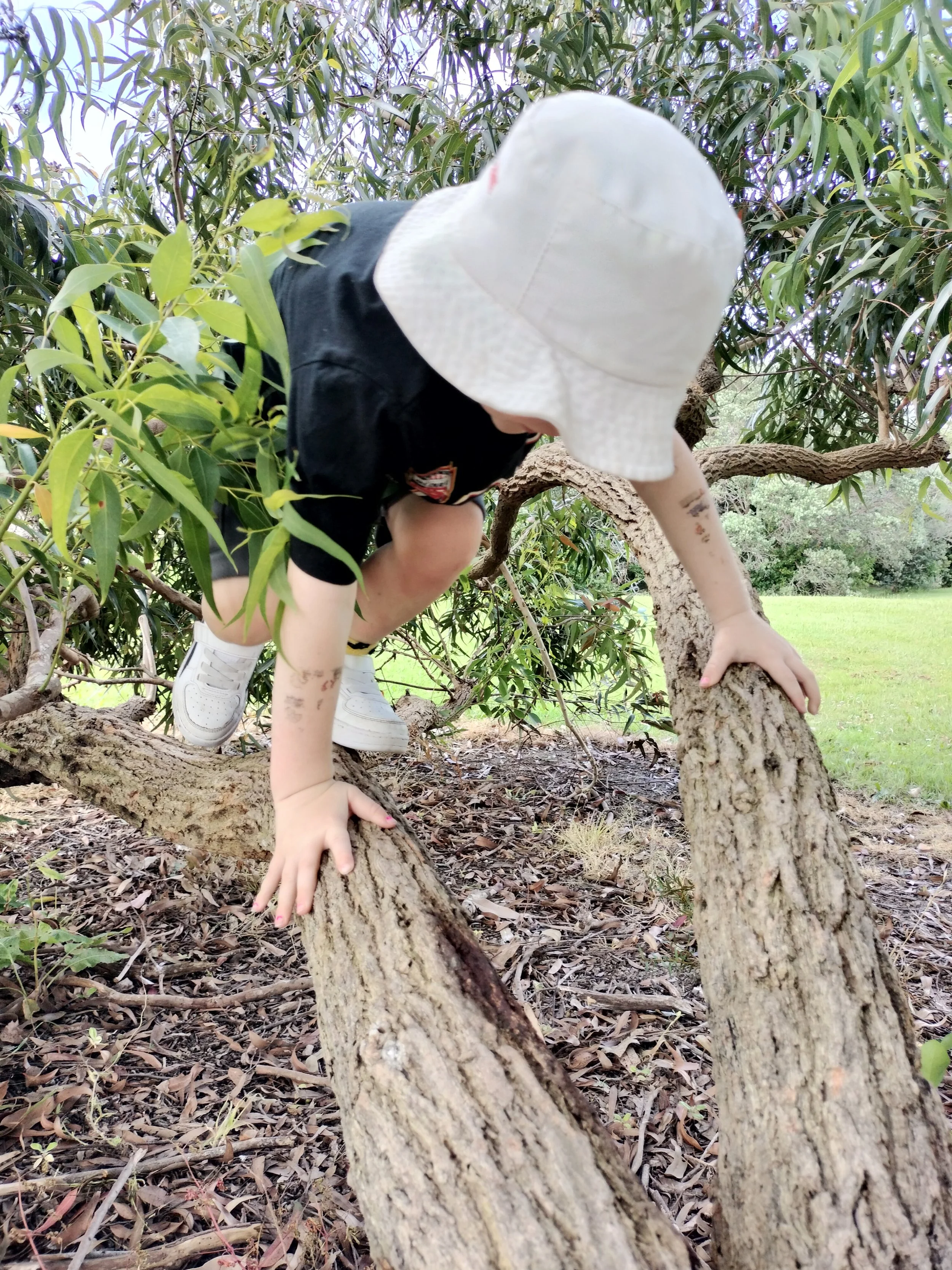 IMG20251126111834 (1).jpg