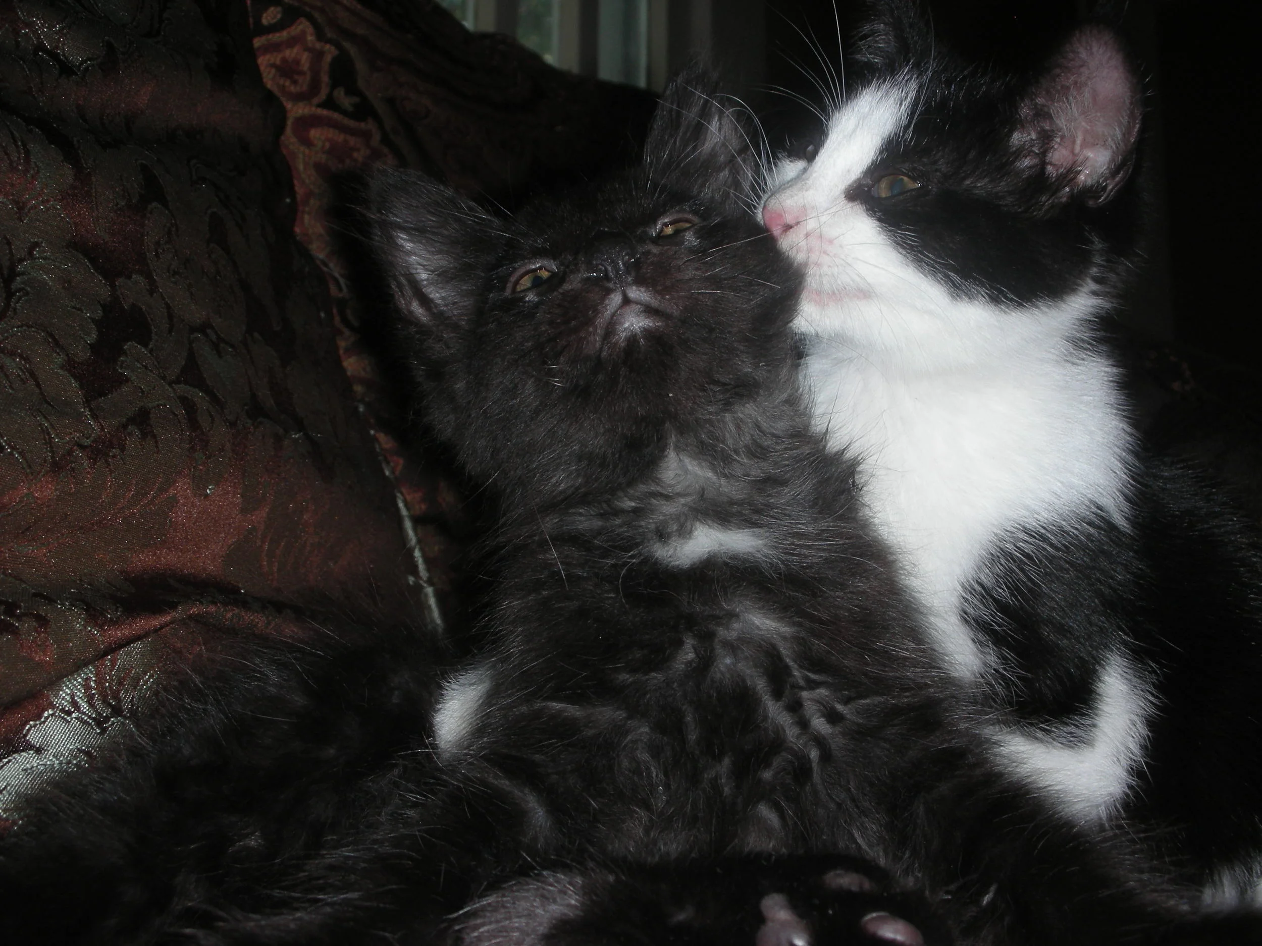 The Power of good friends