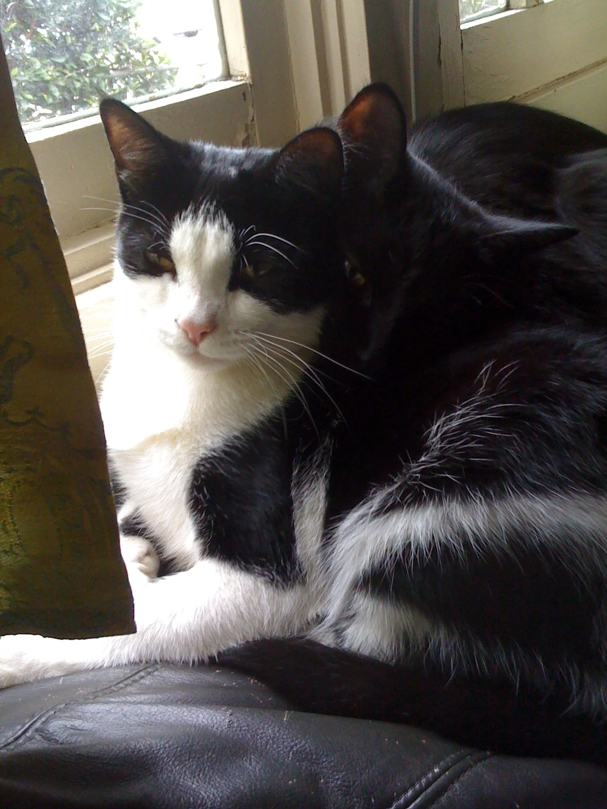 Taking a moment to set an intention