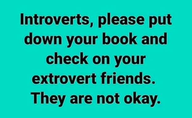 Are you an extrovert or an introvert?