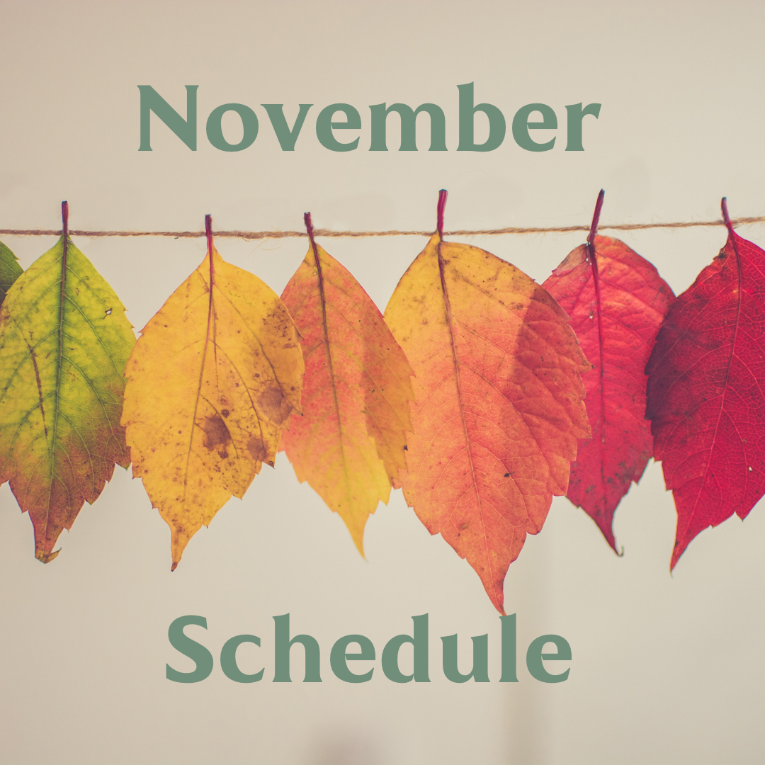 November Schedule