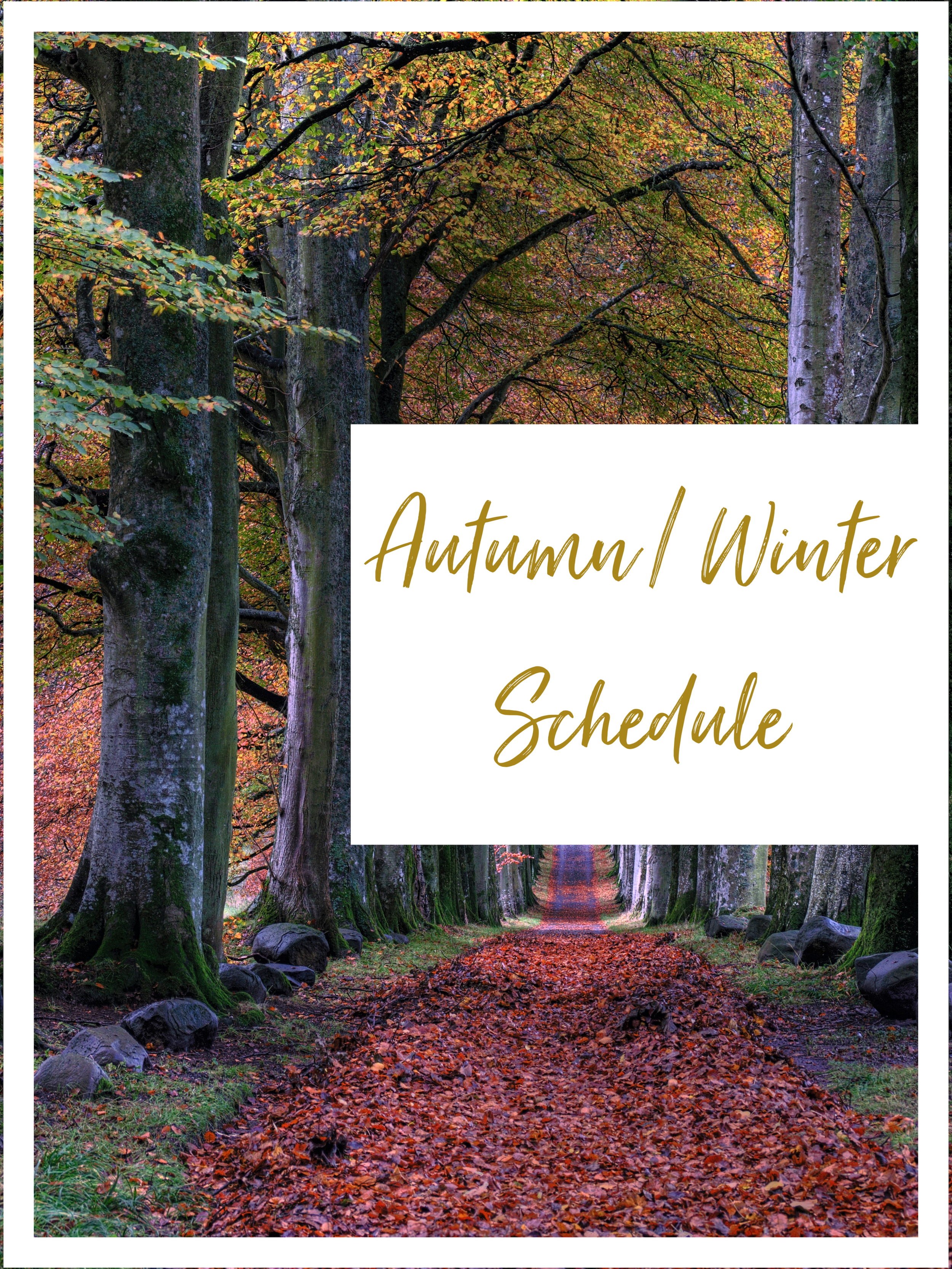 Autumn/Winter Schedule