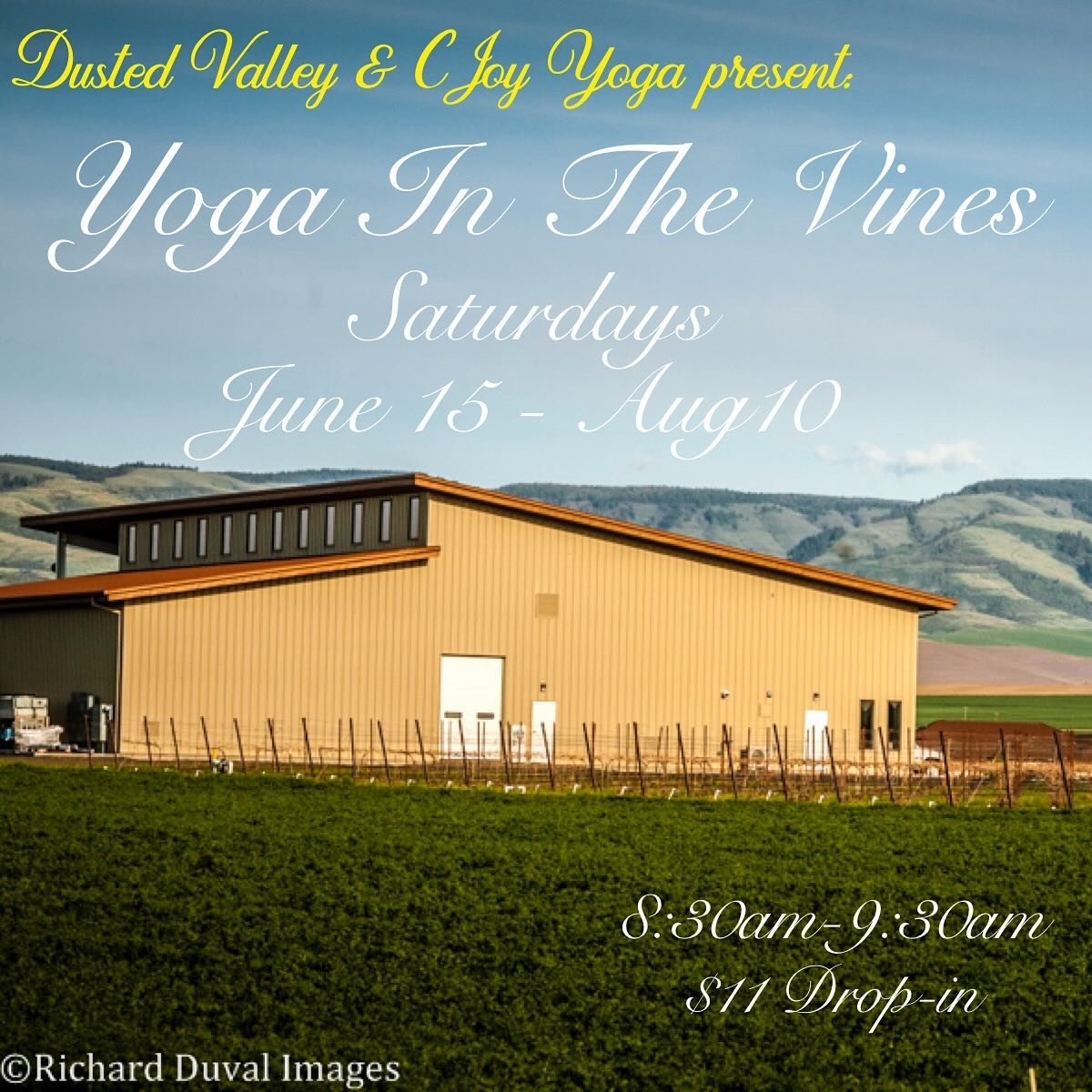 Yoga In The Vines is baaackkkkk! Come on out to enjoy getting your Yoga on, out of doors, before the heat!

Saturday mornings June 15 - Aug 10.
Location: @dustedvalleywine (980 Merlot Dr) next to the Sconi Estate Vineyard in a lovely patch of grass o