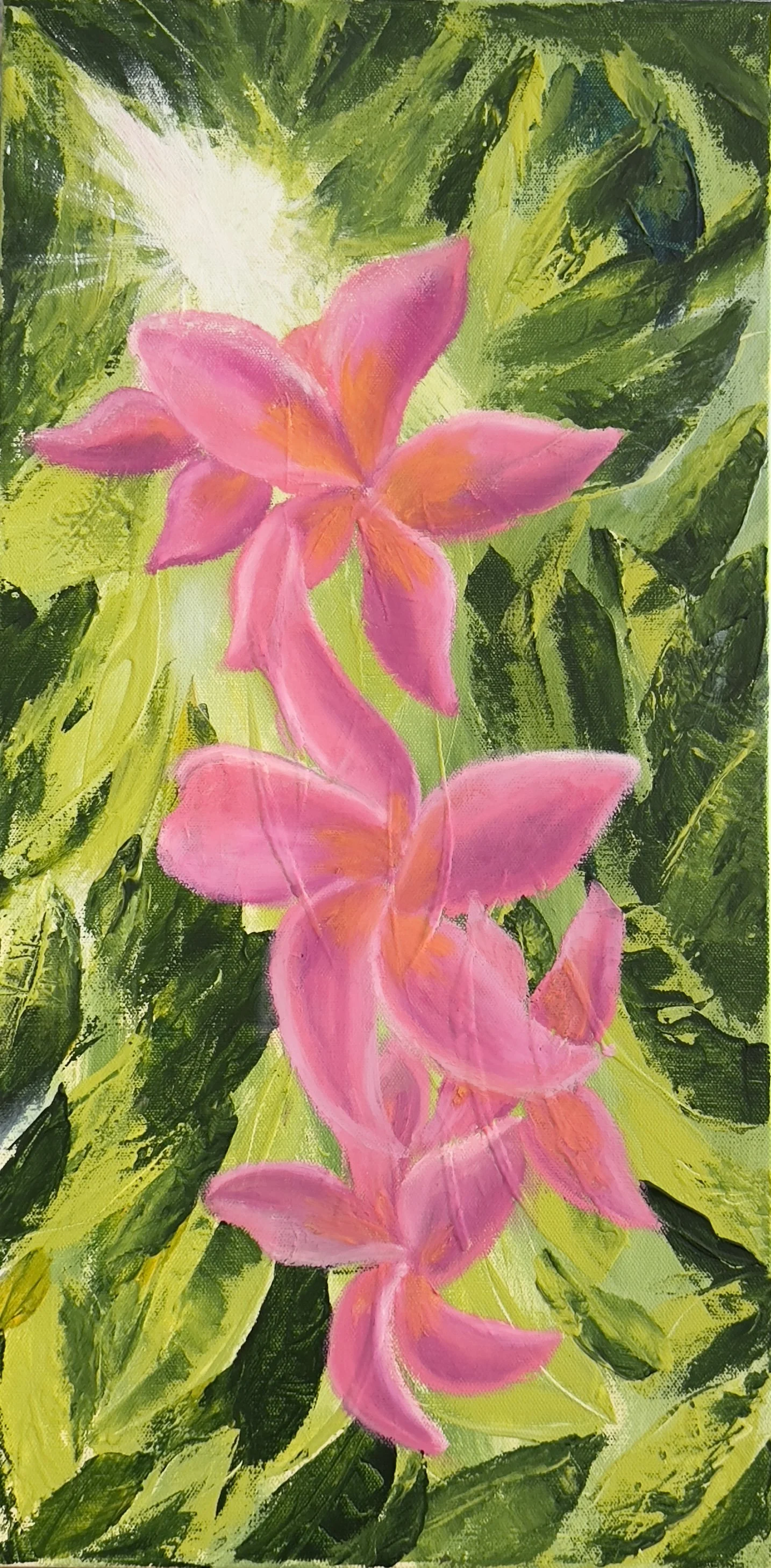 Sunlight through Plumeria