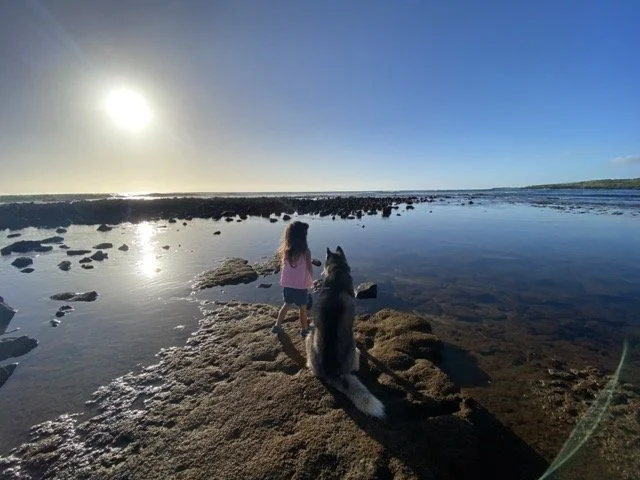 IMG_8526 Medium.jpeg