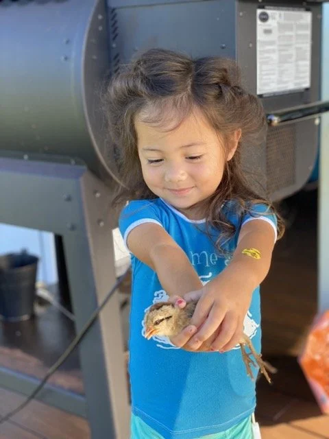 IMG_9256 Medium.jpeg