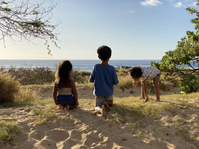 IMG_9432 Medium.jpeg