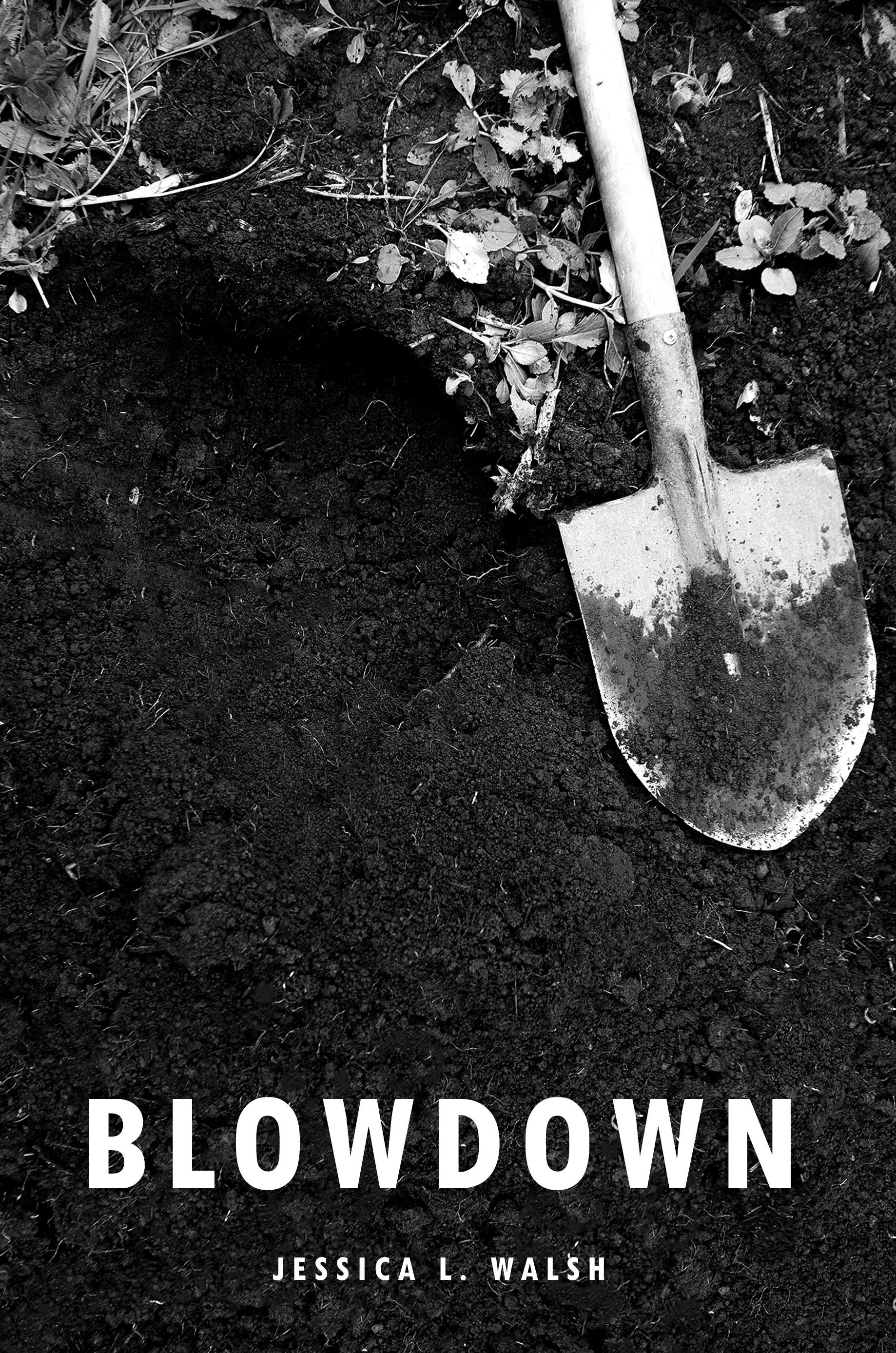 Blowdown by Jessica L. Walsh