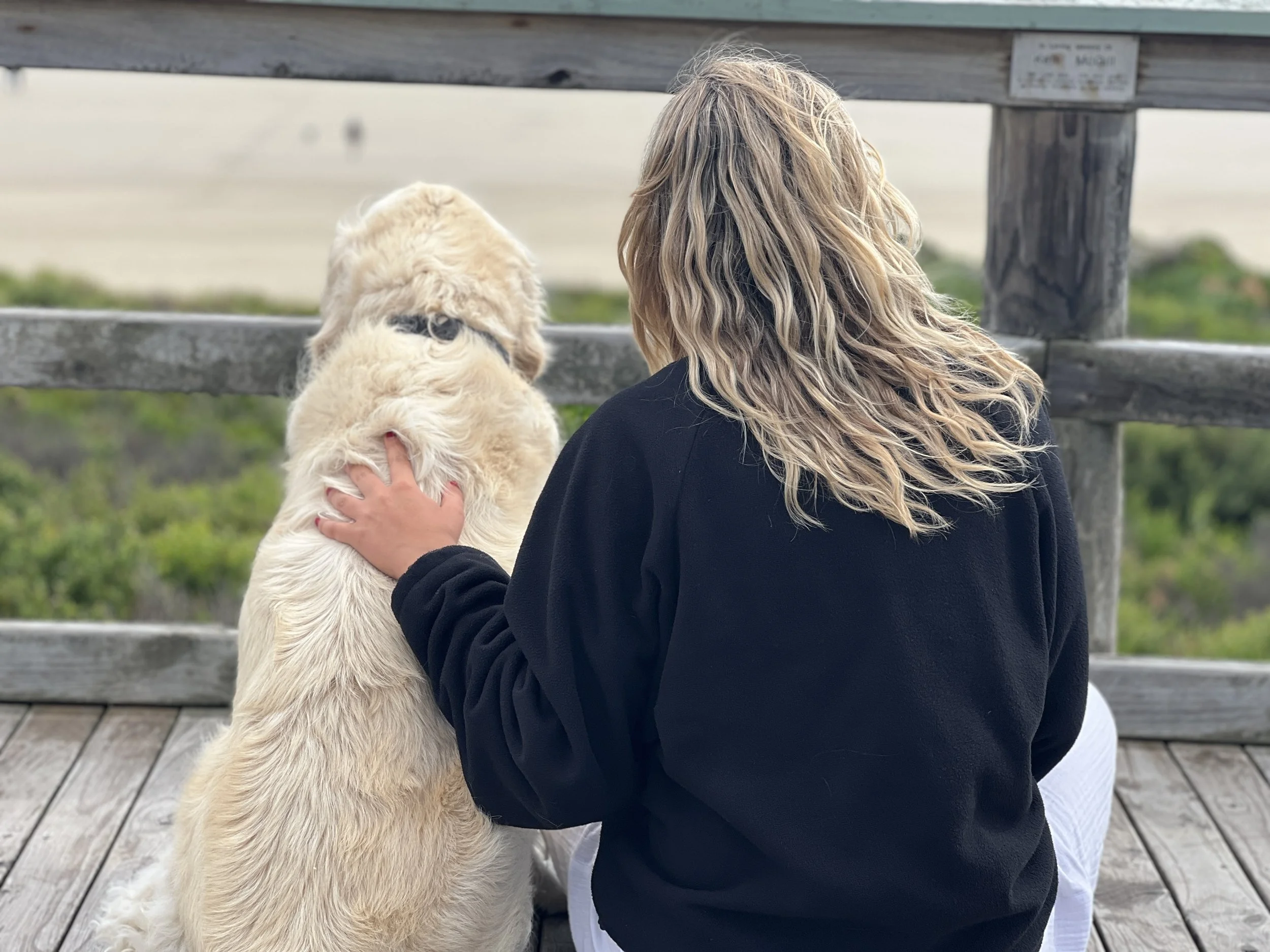 Dog-friendly beach walks near pet-friendly accommodation on Phillip Island