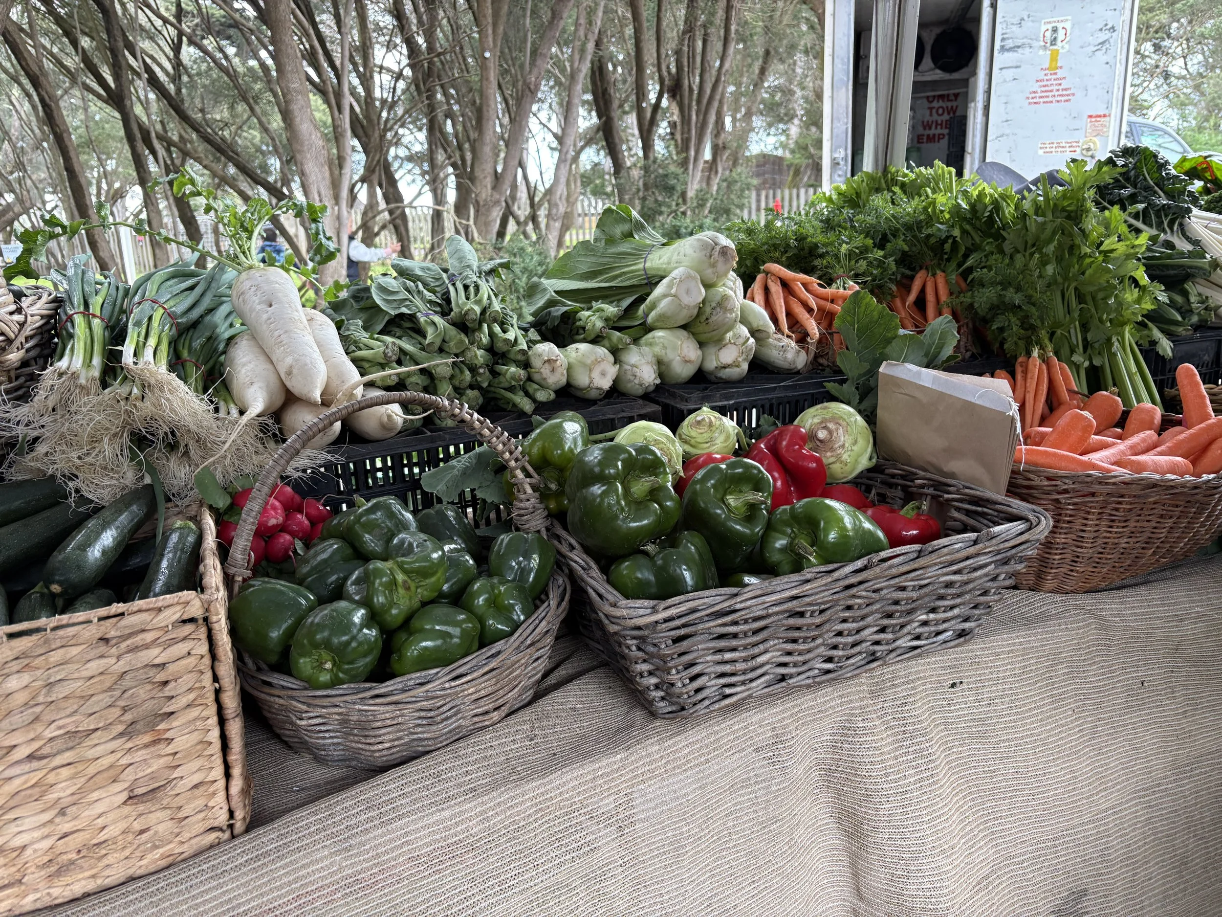 Churchill Island Market produce stalls with capsicum, carrots, radishes and daikon, Phillip Island