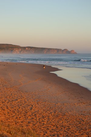 Coastal drive to Phillip Island from Melbourne