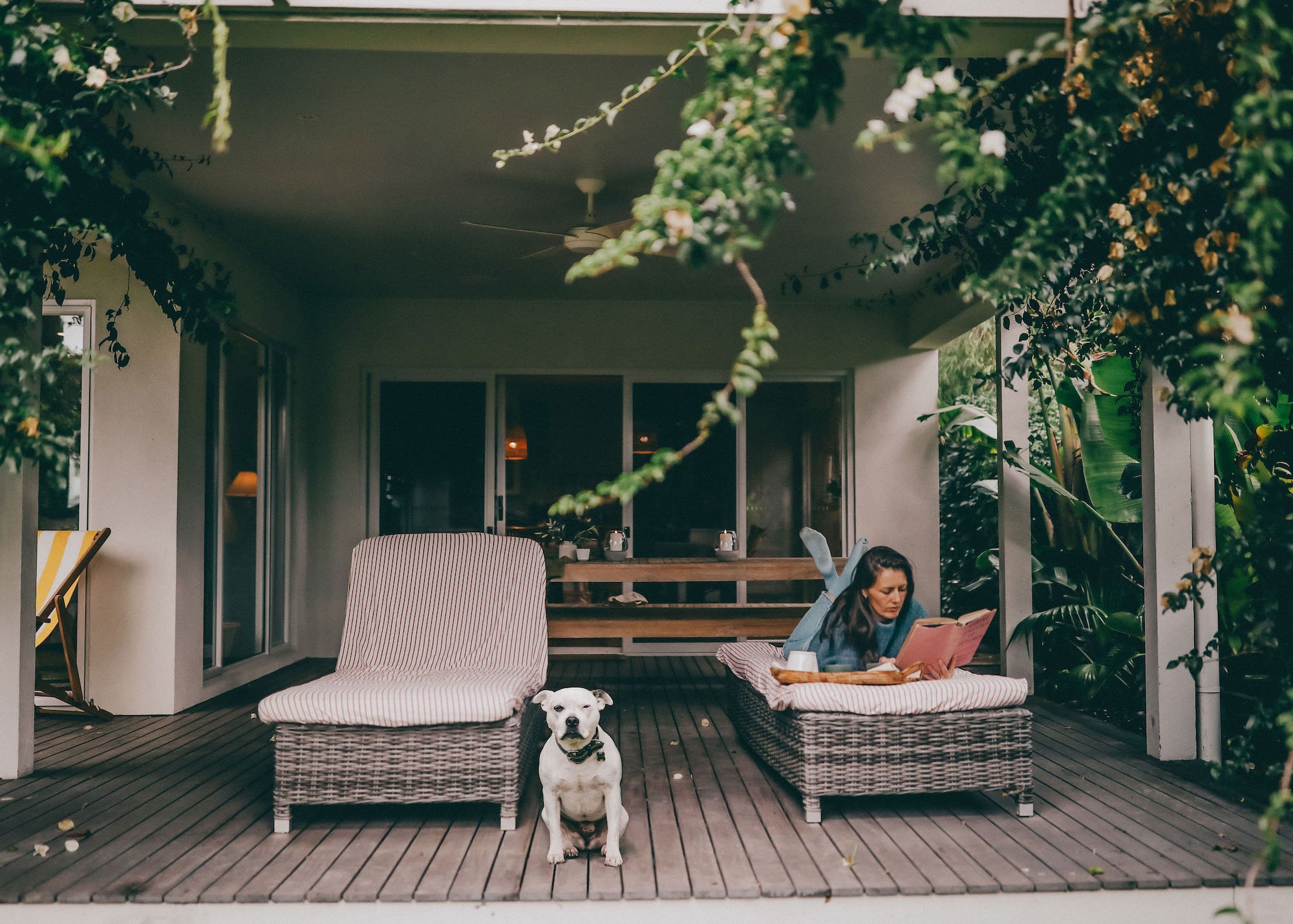 pet friendly accommodation phillip island, cowes-verandah retreat.jpg