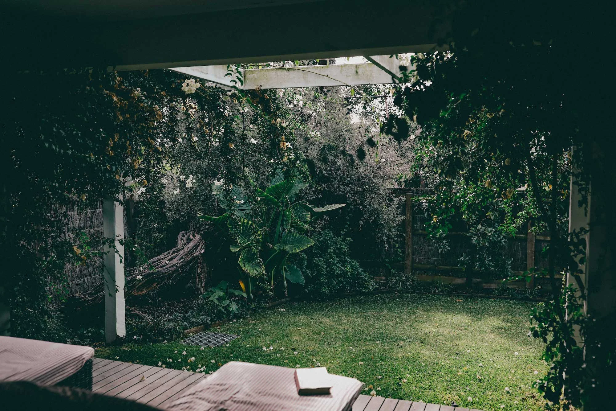 verandah retreat pet friendly garden courtyard cowes.jpg