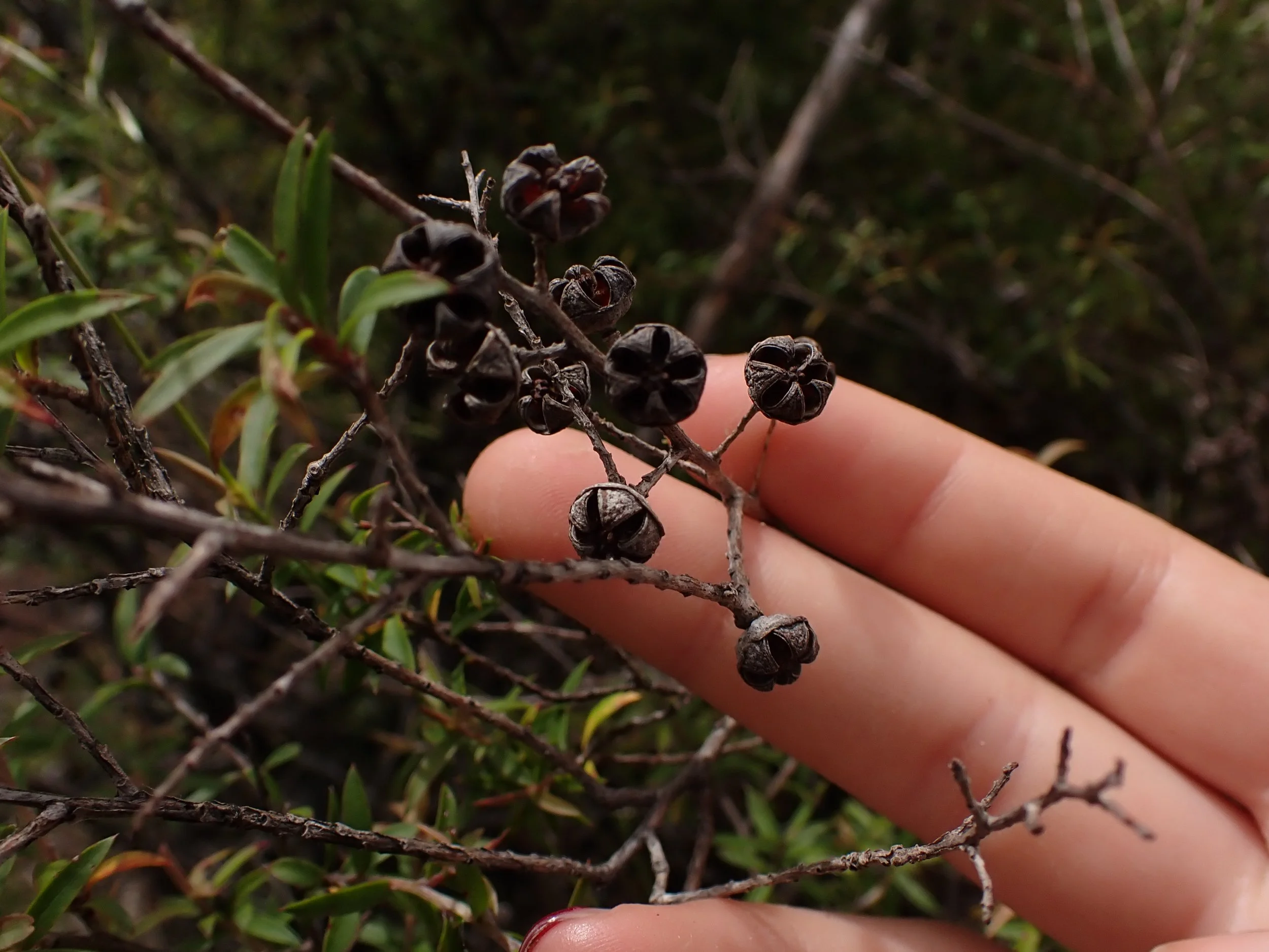 P1017844.JPG