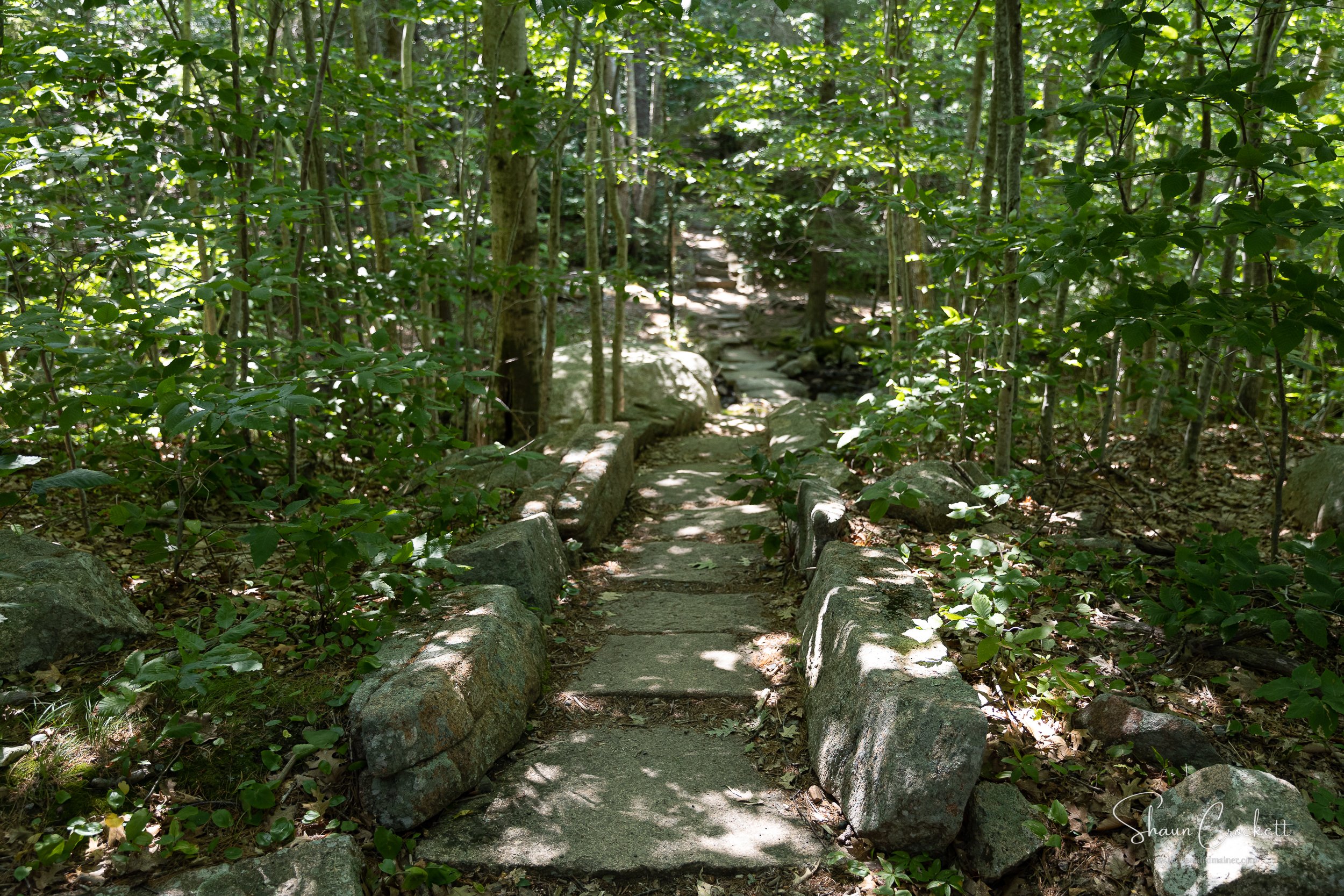 Dorr Mountain - Ladder Trail