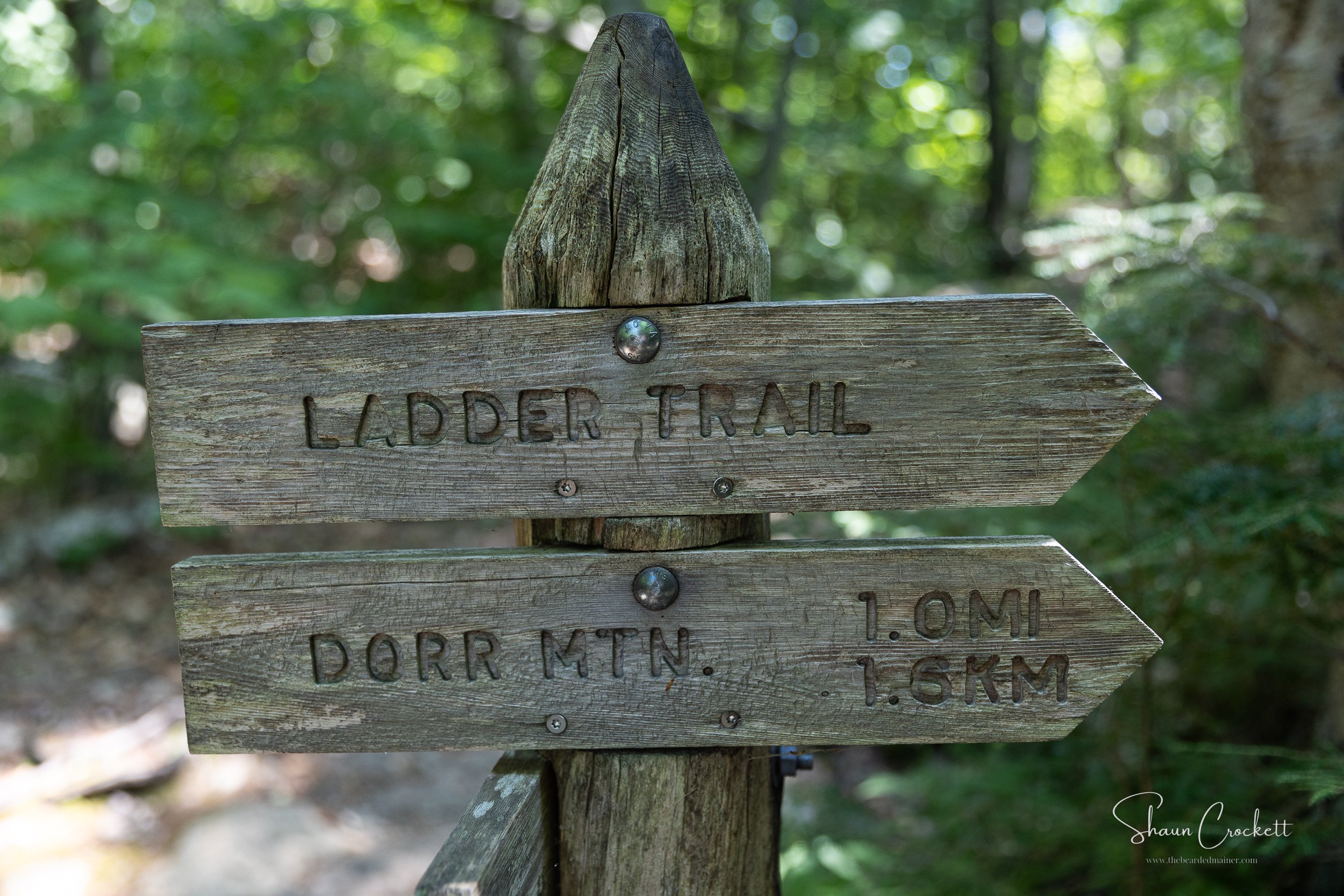 Dorr Mountain - Ladder Trail 