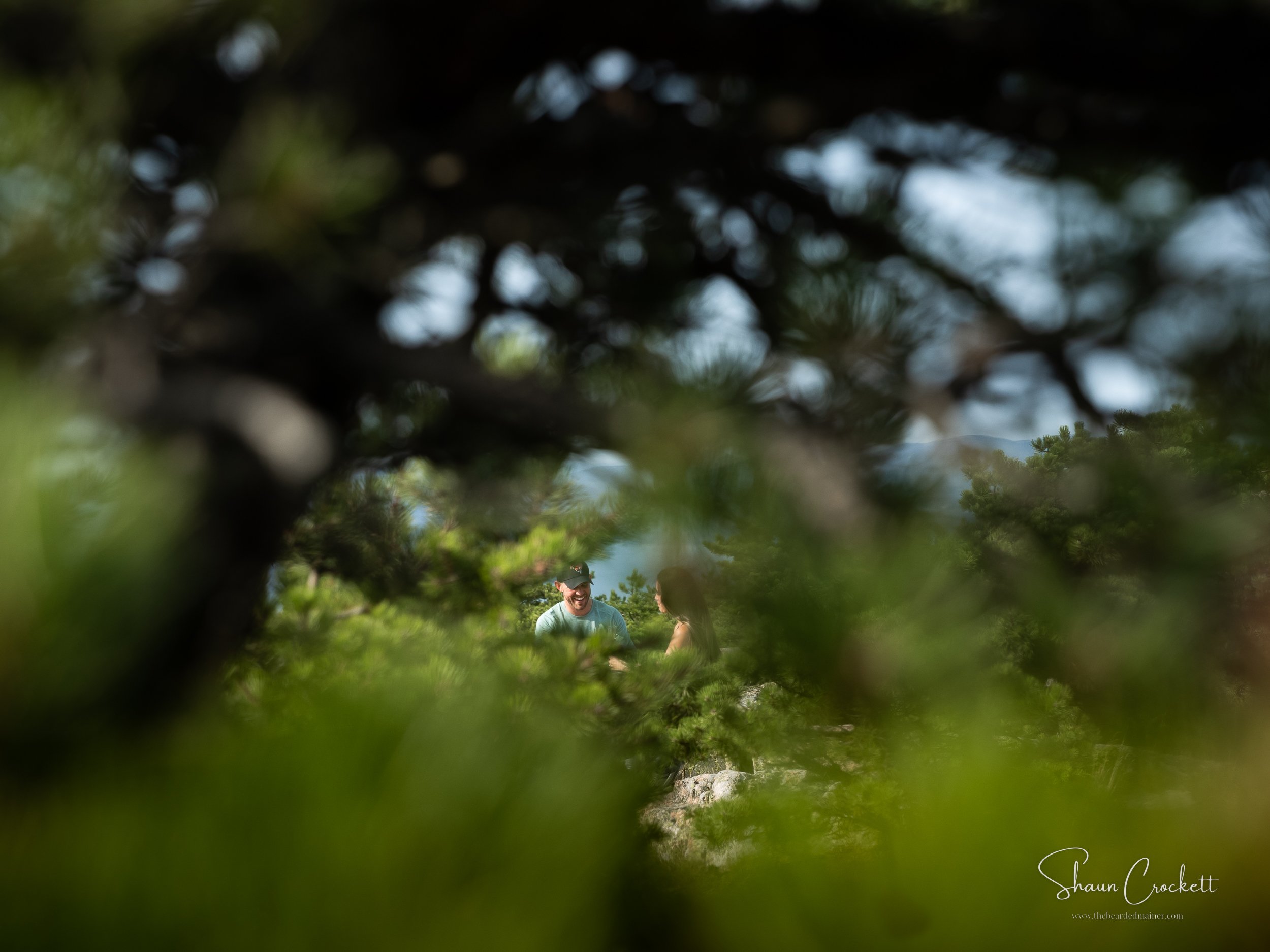 Proposal on Dorr Mountain - Acadia National Park