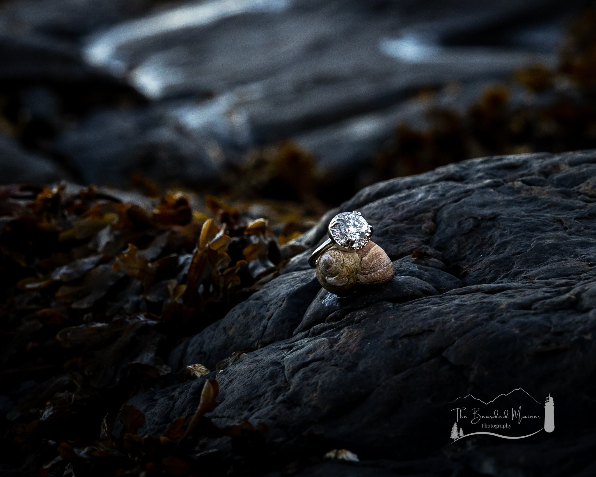 The-Bearded-Mainer-Photography_Engagement-on-the-Margaret-Todd_Bar-Harbor-Maine-41.jpg
