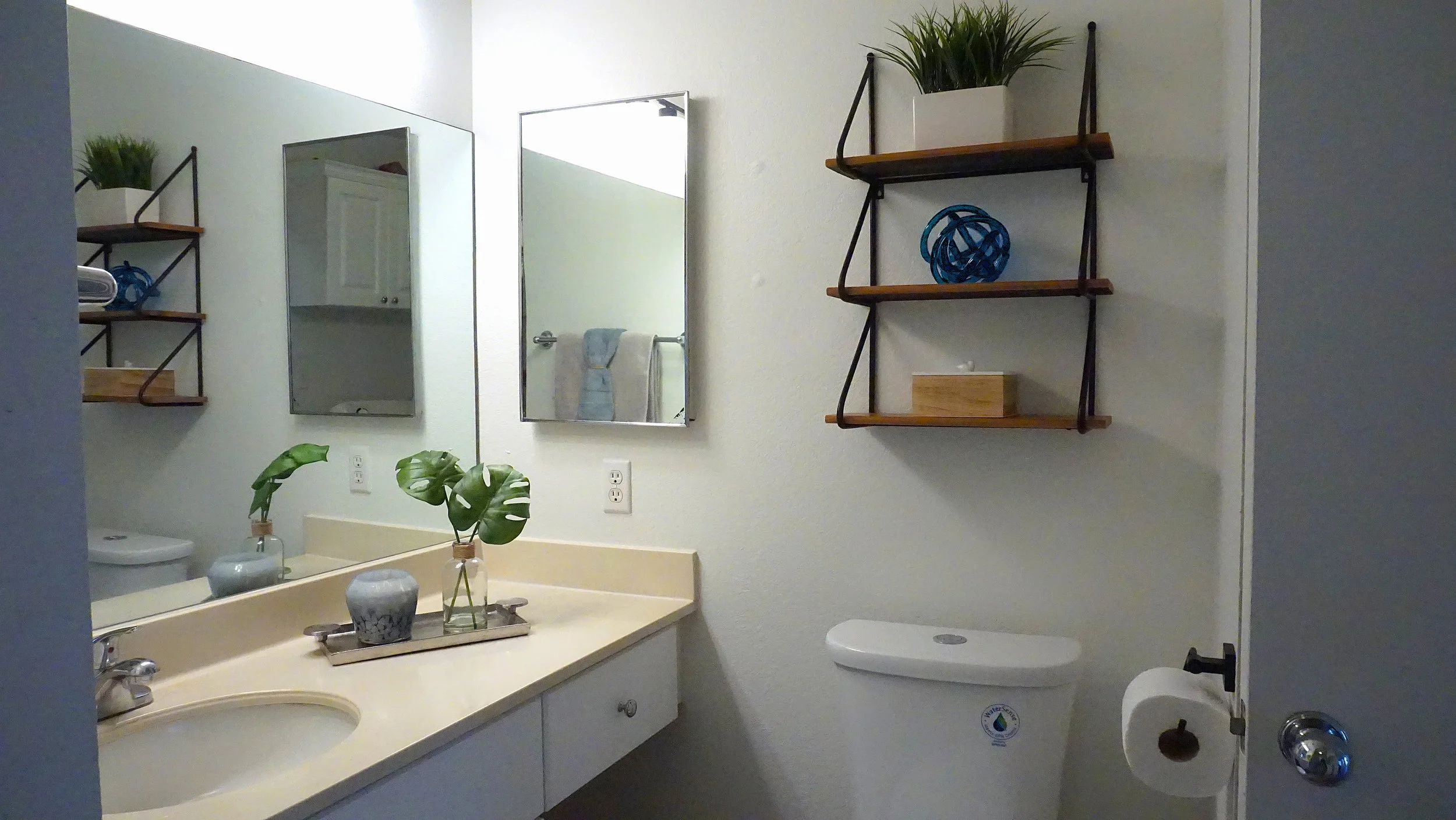 vanity.toilet.JPG