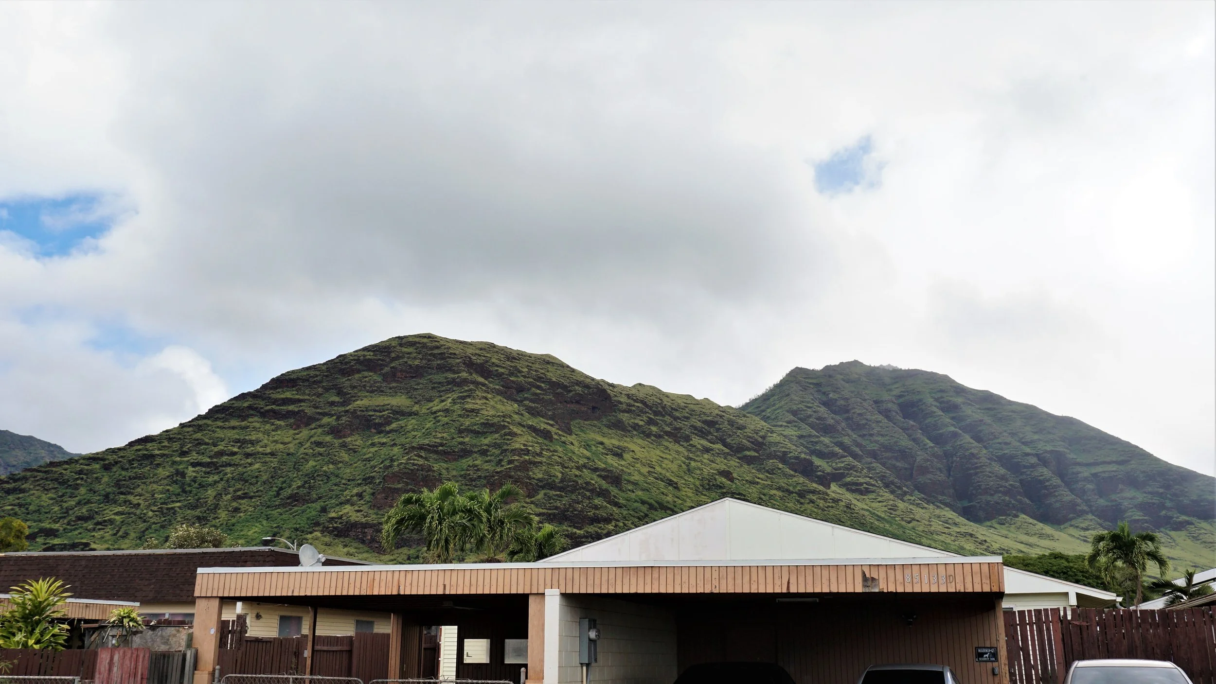 Copy of mountain view.jpg