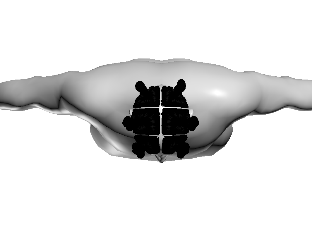 6.png