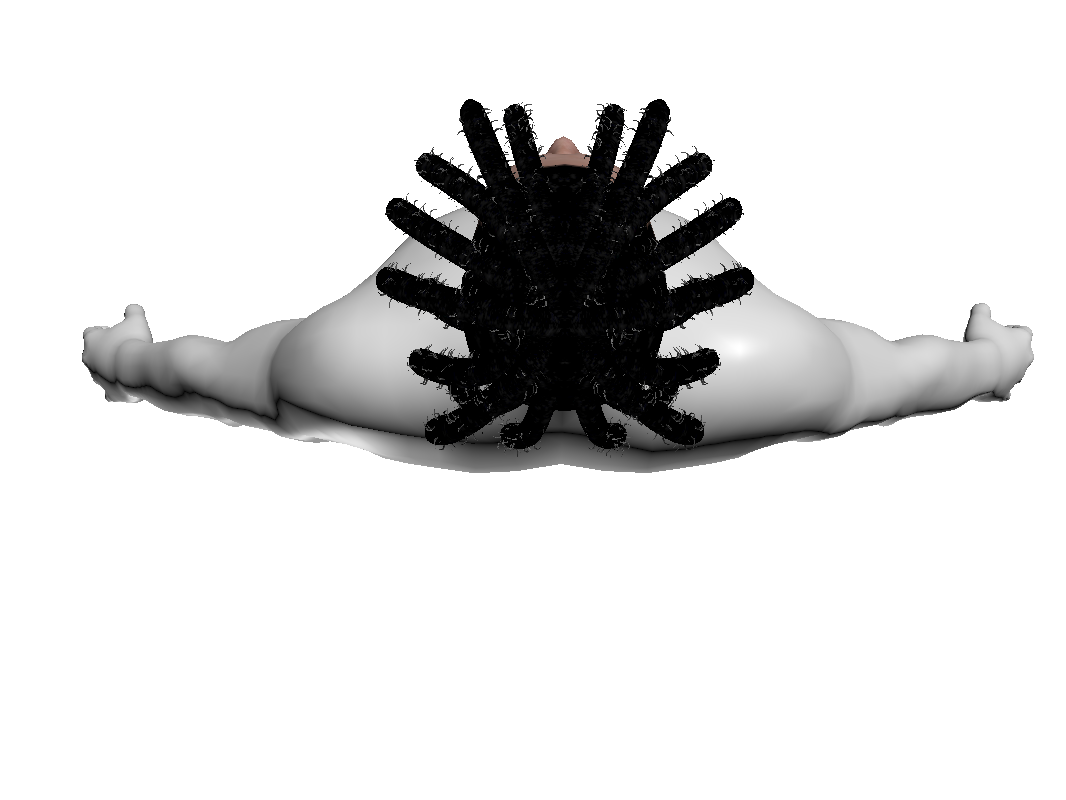 12.png
