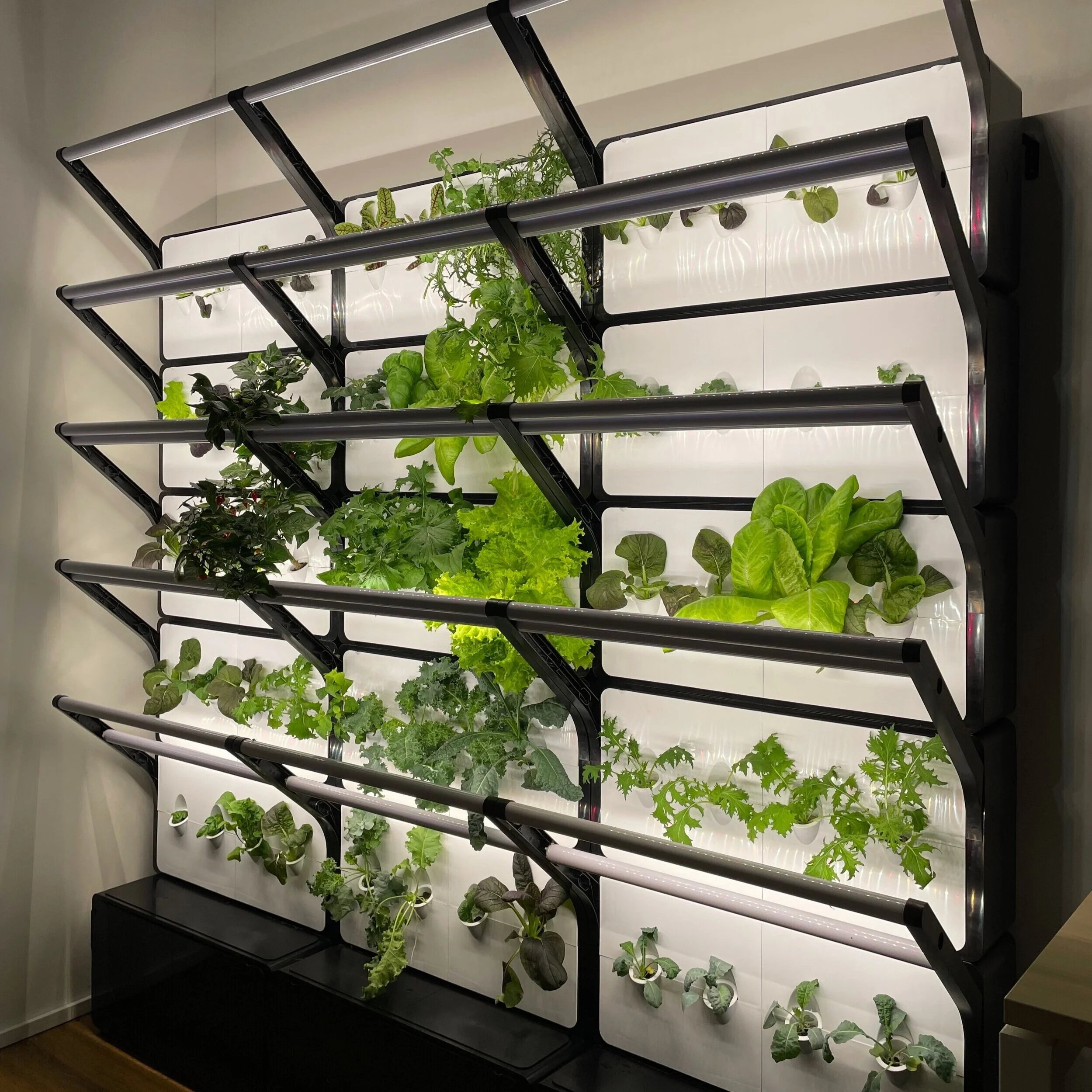 Buy Vertical Farming System Indoor Grow Setup for Sale grobrix