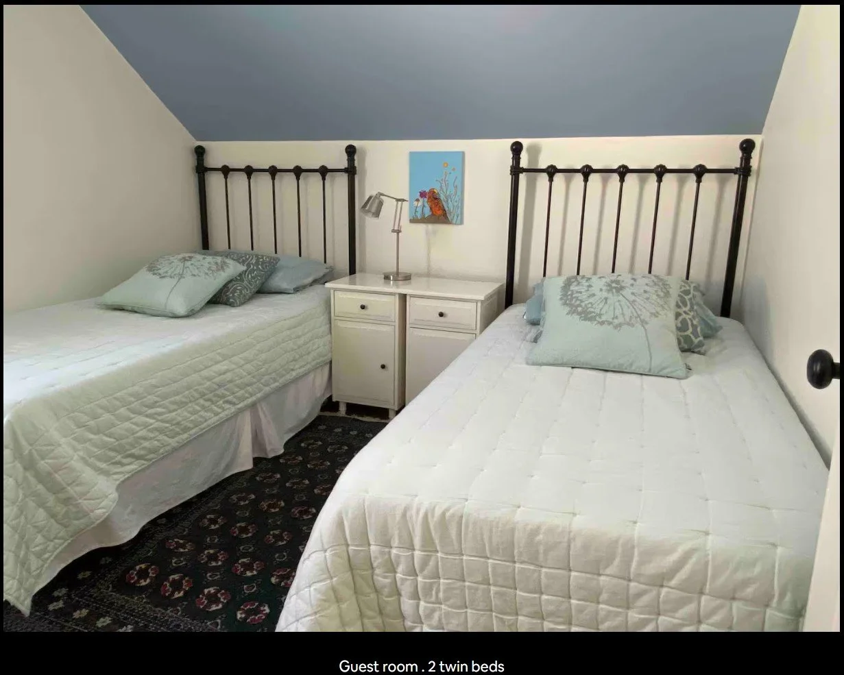 Guest room with two twin beds, light blue bedding, white nightstand, decorative lamp, and a colorful wall picture.