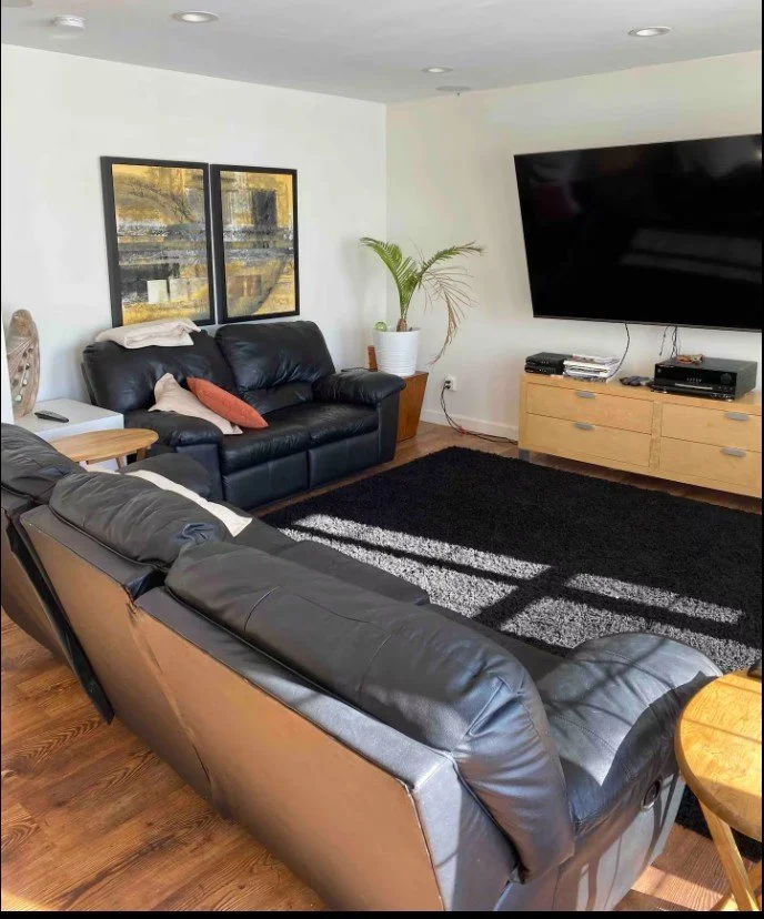 Living room with black leather sofas, large wall-mounted TV, wooden cabinet, decorative plant, abstract artwork, and a black and white rug.