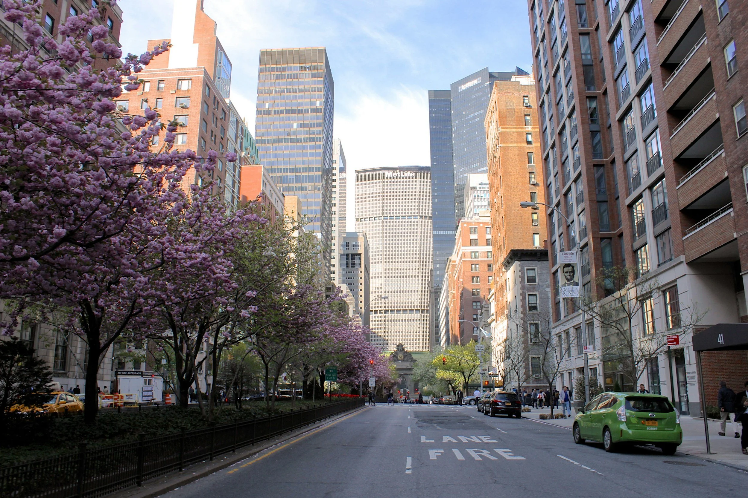 beautiful tree blossoms lining the streets of a big city