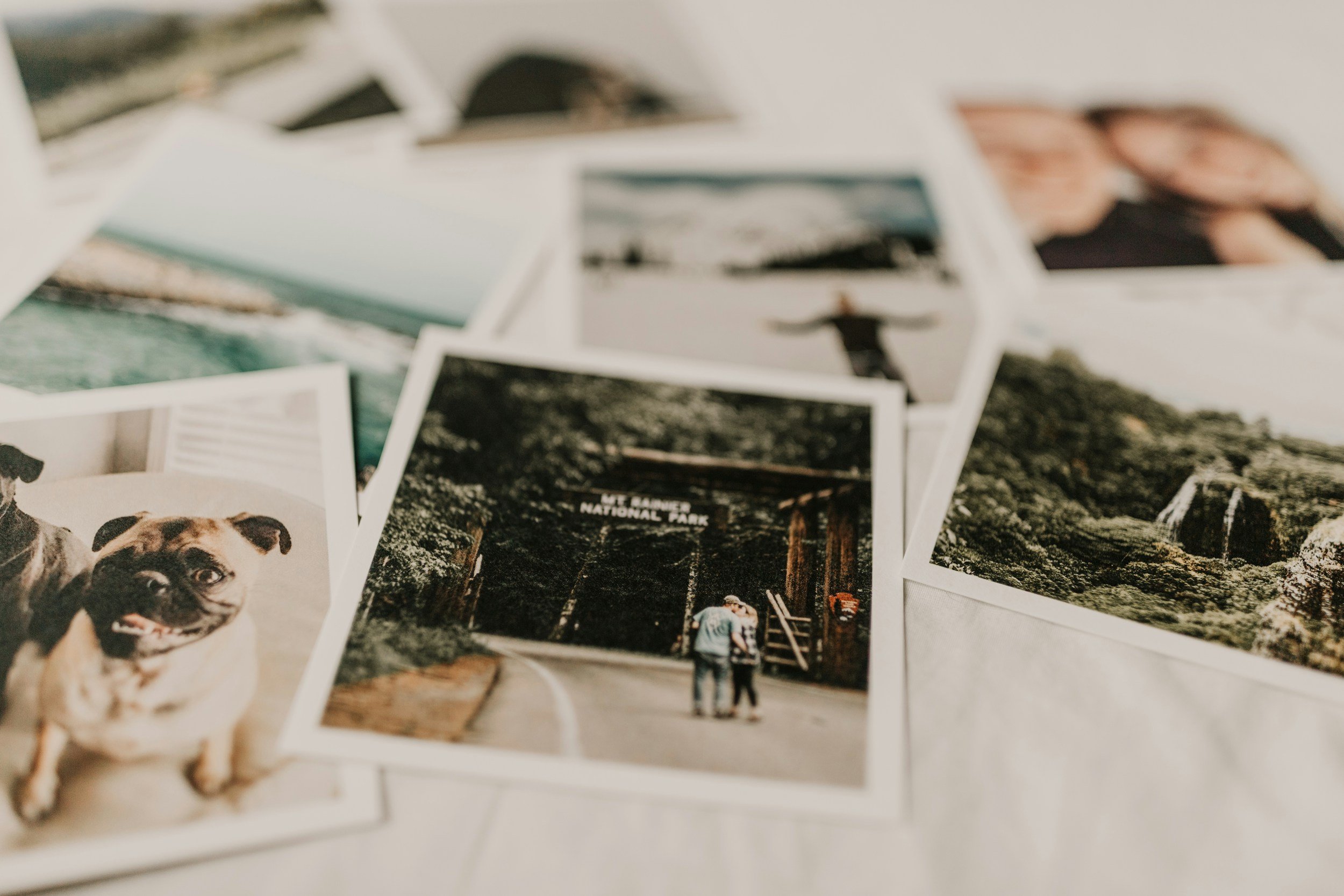 Sentimental photos that one might want to bring with them when they move