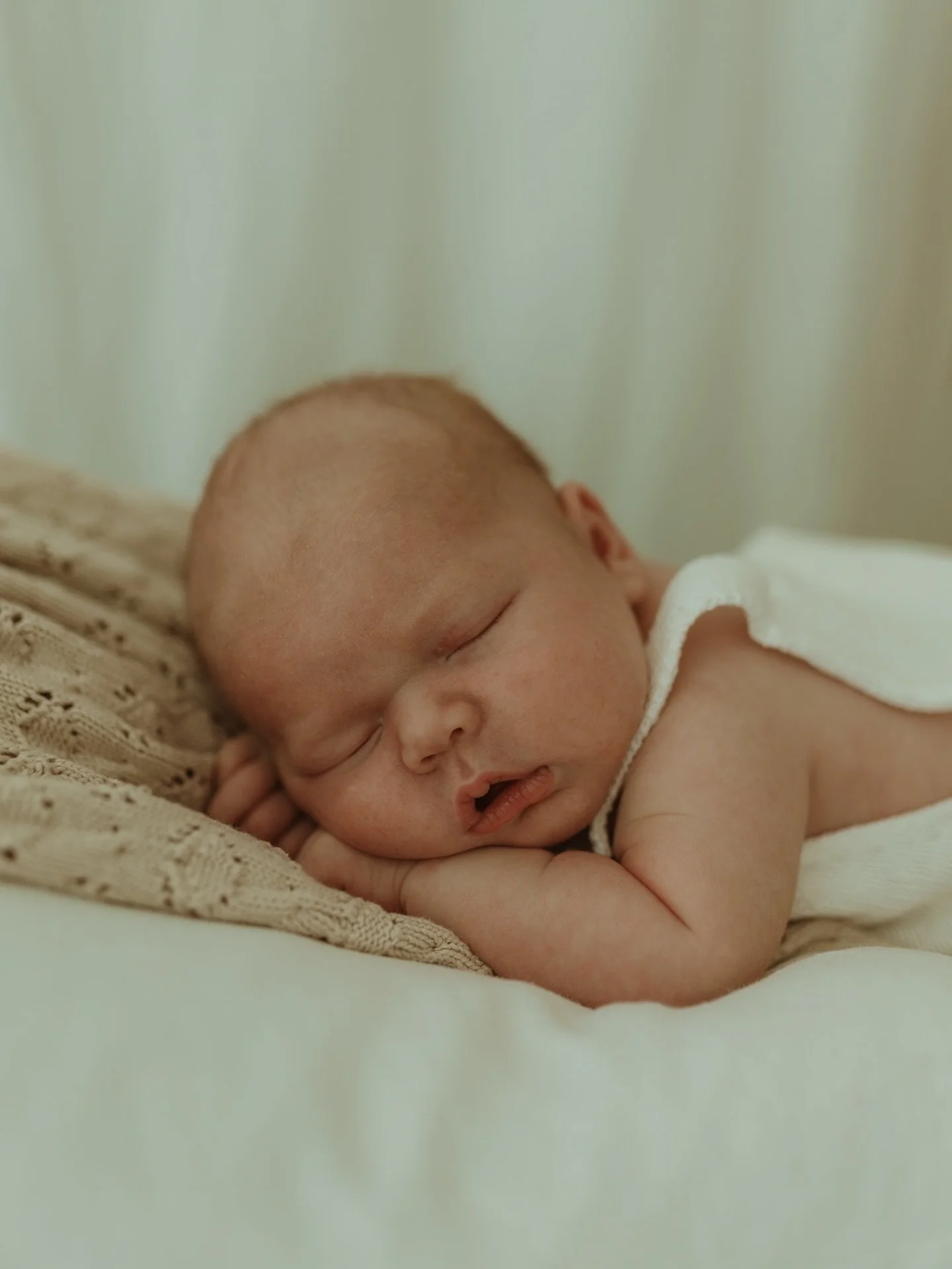 Harvey, 5 kg of sleepy deliciousness 🫶🏼