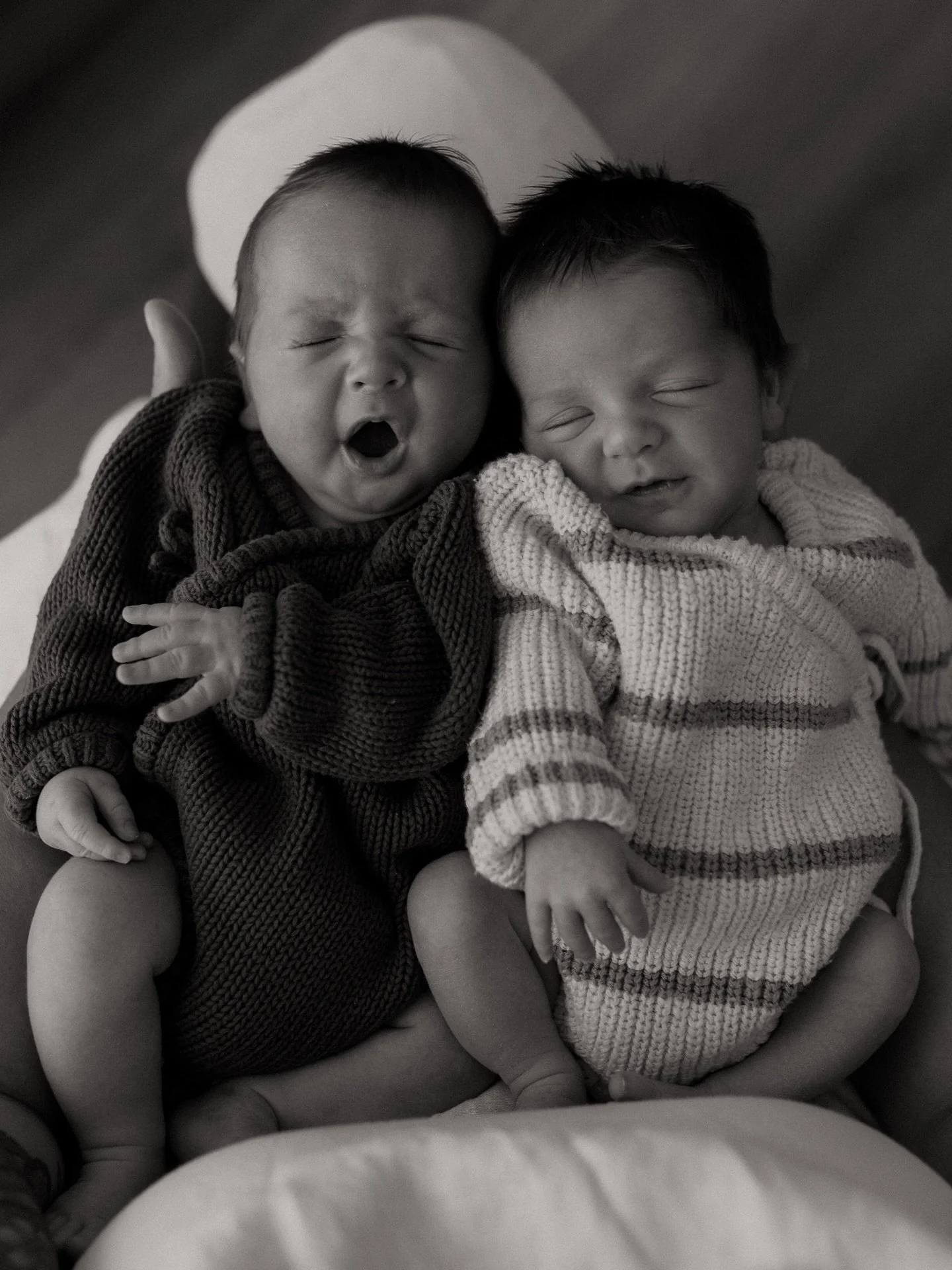 George &amp; Parker 🤍 photographing twins might be my new favourite thing, especially when they have a gorgeous doting big brother just like Harry.