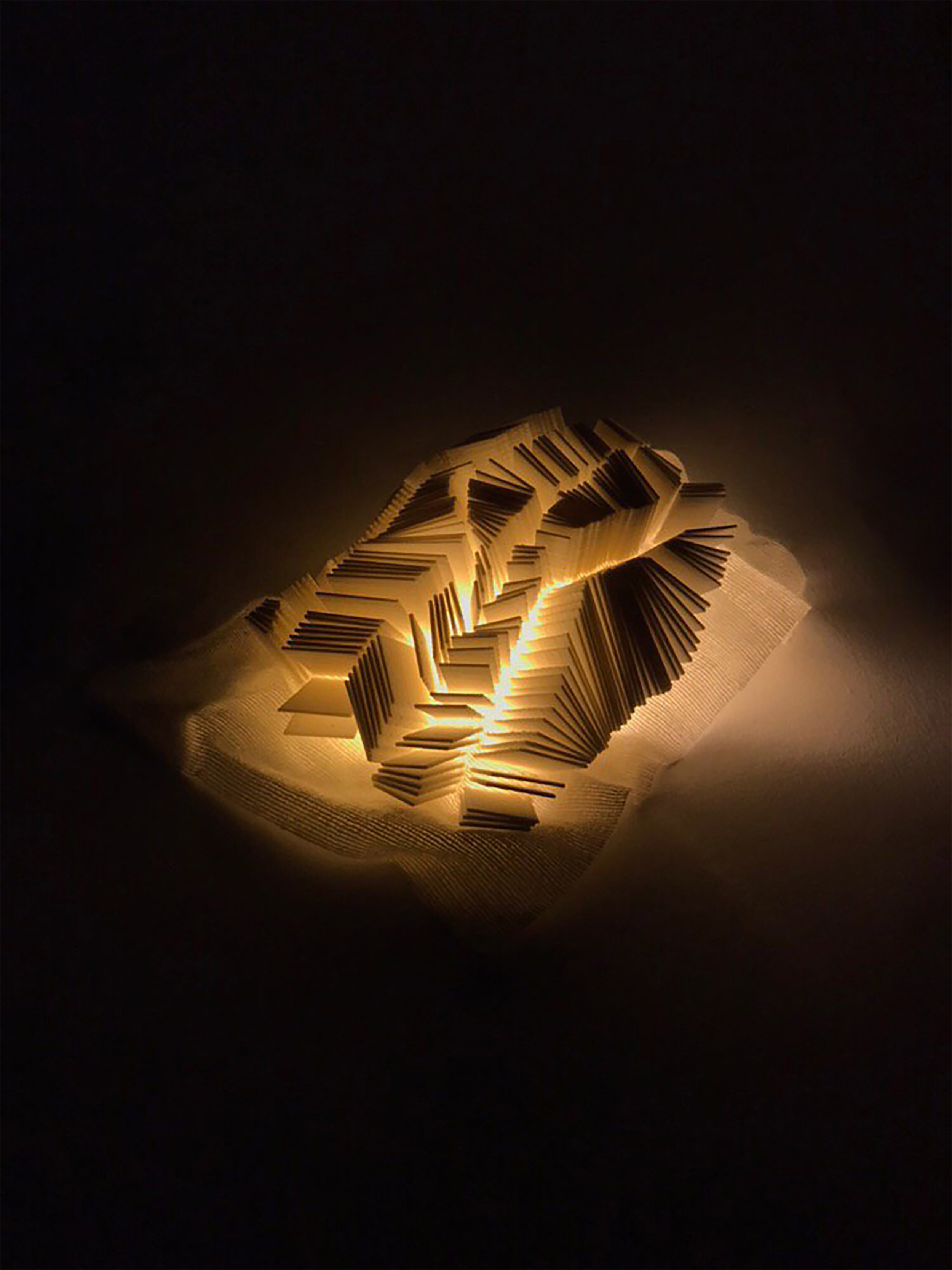 Light on_Prusa_macro copy.png