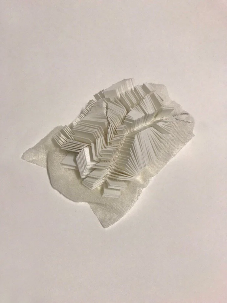 Light of_Prusa_macro.jpg