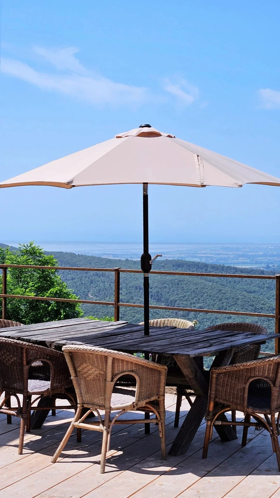 WhatsApp Image 2026-02-16 at 19.34.52.jpeg