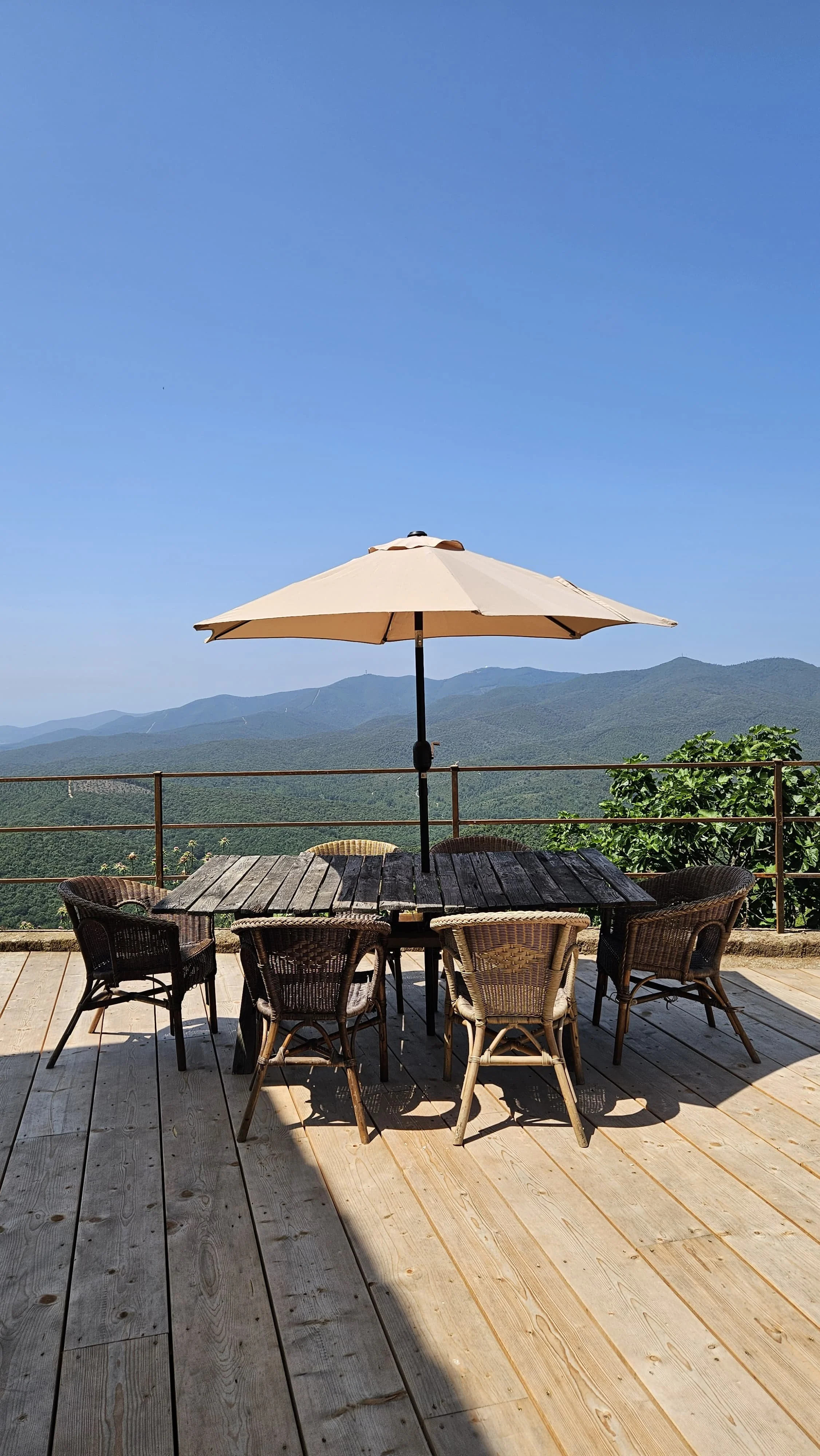 WhatsApp Image 2026-02-16 at 19.34.55.jpeg