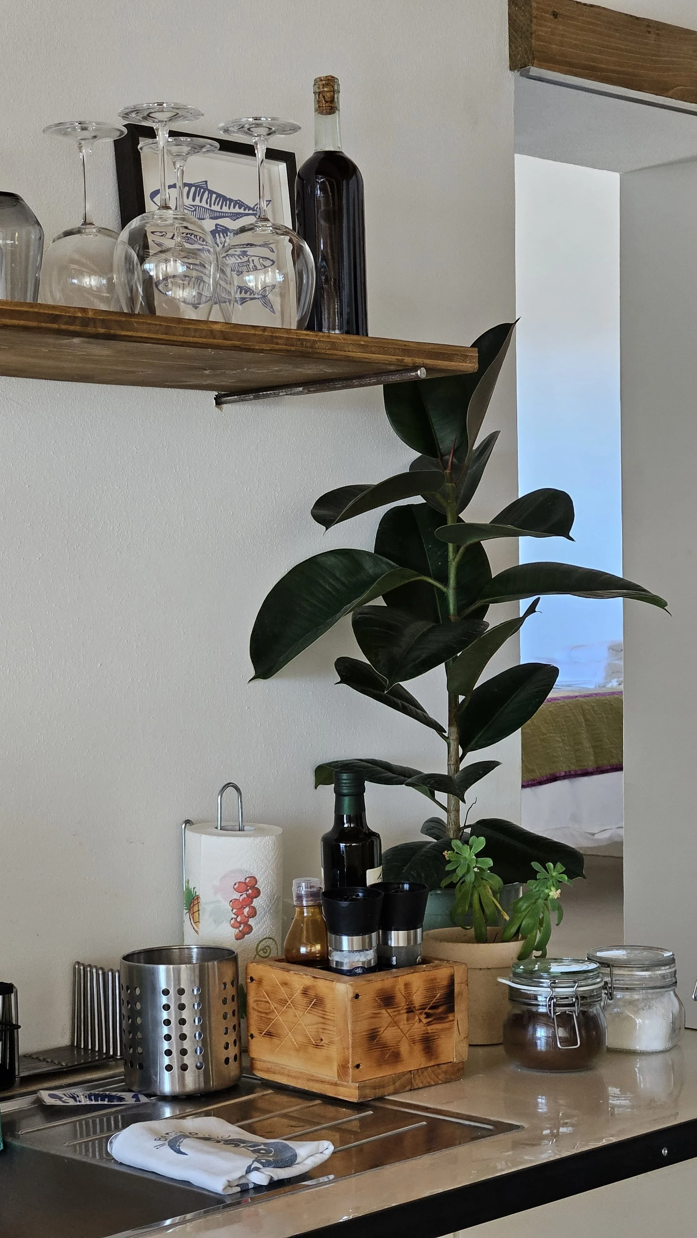 WhatsApp Image 2026-08-29 at 18.05.39 (5).jpeg