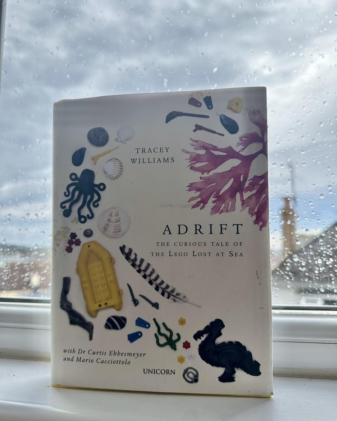 Rainy day blues?  Not here! 

It&rsquo;s a great day to curl up with a good book, and I&rsquo;m absolutely loving the re-read of &lsquo;Adrift&rsquo; by Tracey Williams of Lego Lost At Sea.

As well as Tracey&rsquo;s huge breadth of knowledge on Lego
