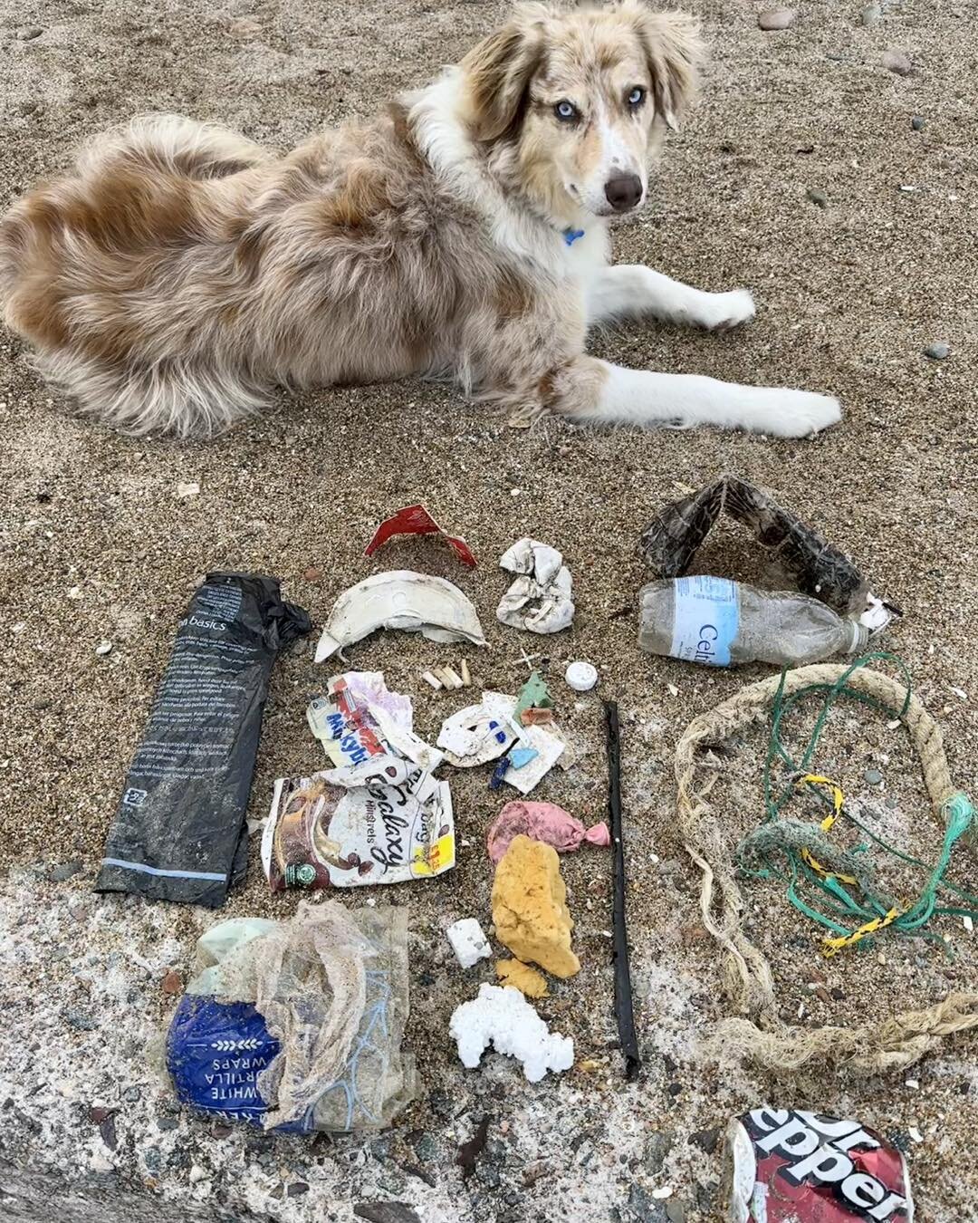 Woody looking on in disdain at today&rsquo;s #2minutebeachclean finds.

Tile spacer - how????
Fishing rope
Can
Plastic bottles
Balloon 
Cigarette butts
Bottle top
Poo bag - empty, came in handy 😜
Sweetie wrappers
Expanded foam
Polystyrene 
Visor fro