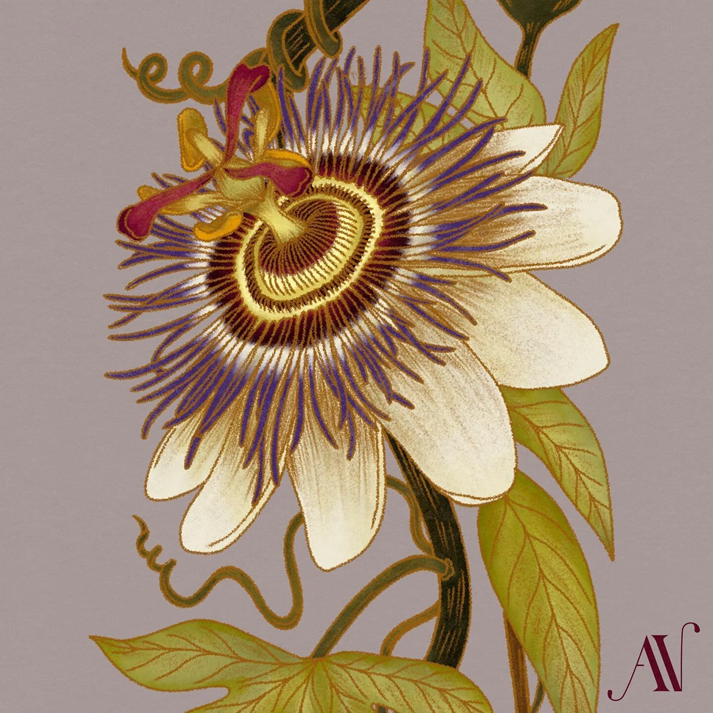 hello birth month ✨
.
.
.
.
.
.
.
.
.
.

.
.
.
.
#artph #artistph #surfaceart #surfacepattern #surfacedesign #surfacepatterndesign #patterndesign #patterndesignersclub #artistoninstagram #illustratorsofinstagram #illustrationnow #floralsyourway #surf