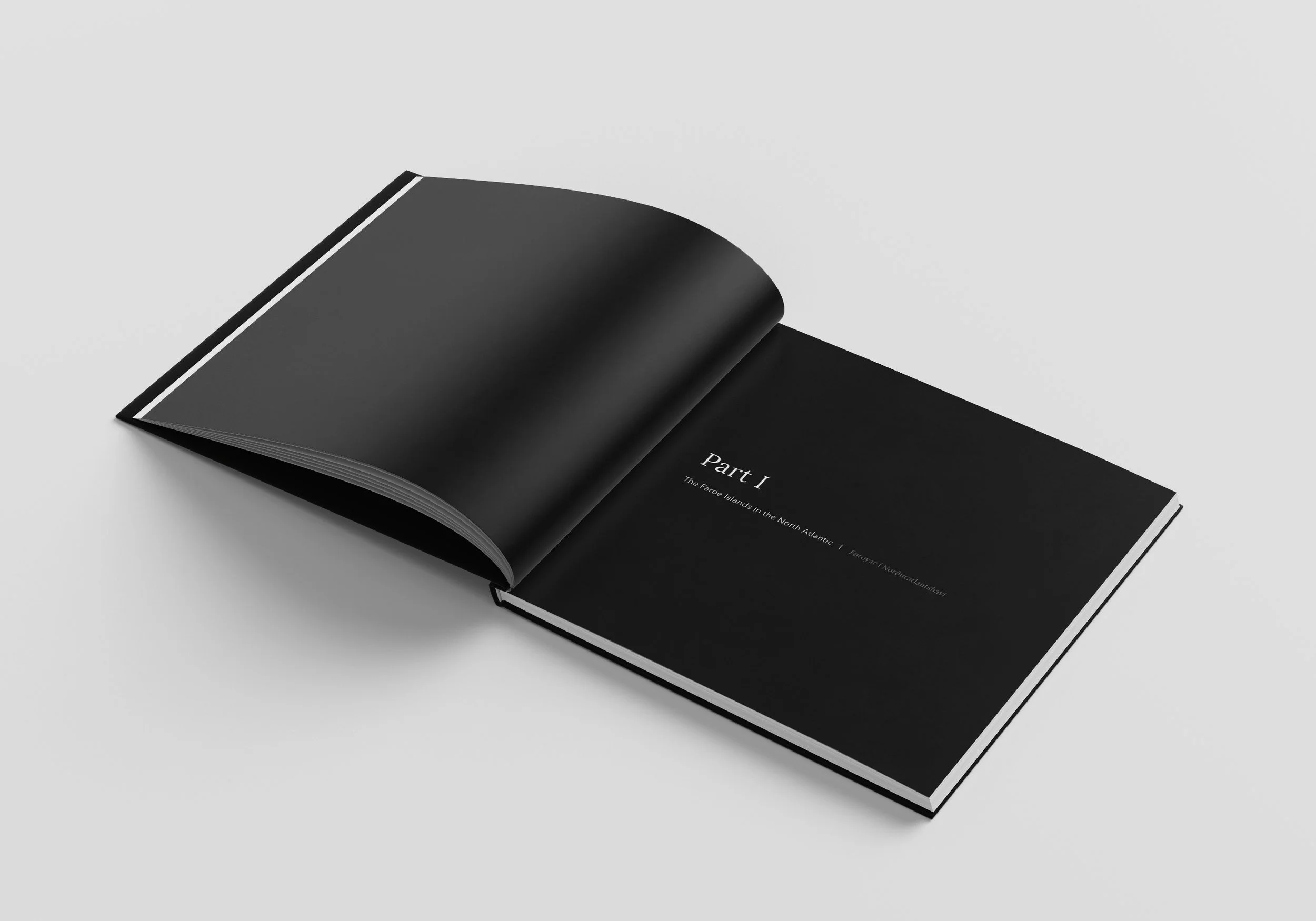 Droplets_Book_Mockup_5.jpg