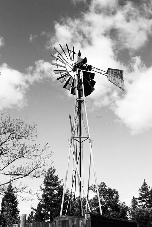 BW portrait_0003_Layer 19.jpg