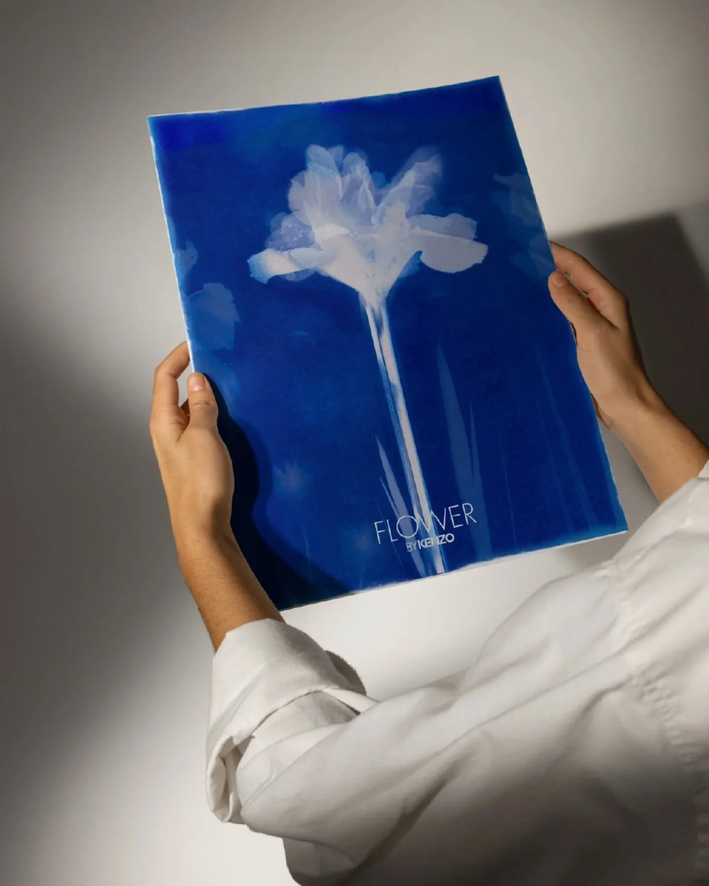 For Kenzo’s private event, we embarked on a sensory journey, drawing inspiration from the delicate beauty of the iris and the depth of Japanese indigo. 
To translate this concept into a tangible form, we explored the process of cyanotype. This