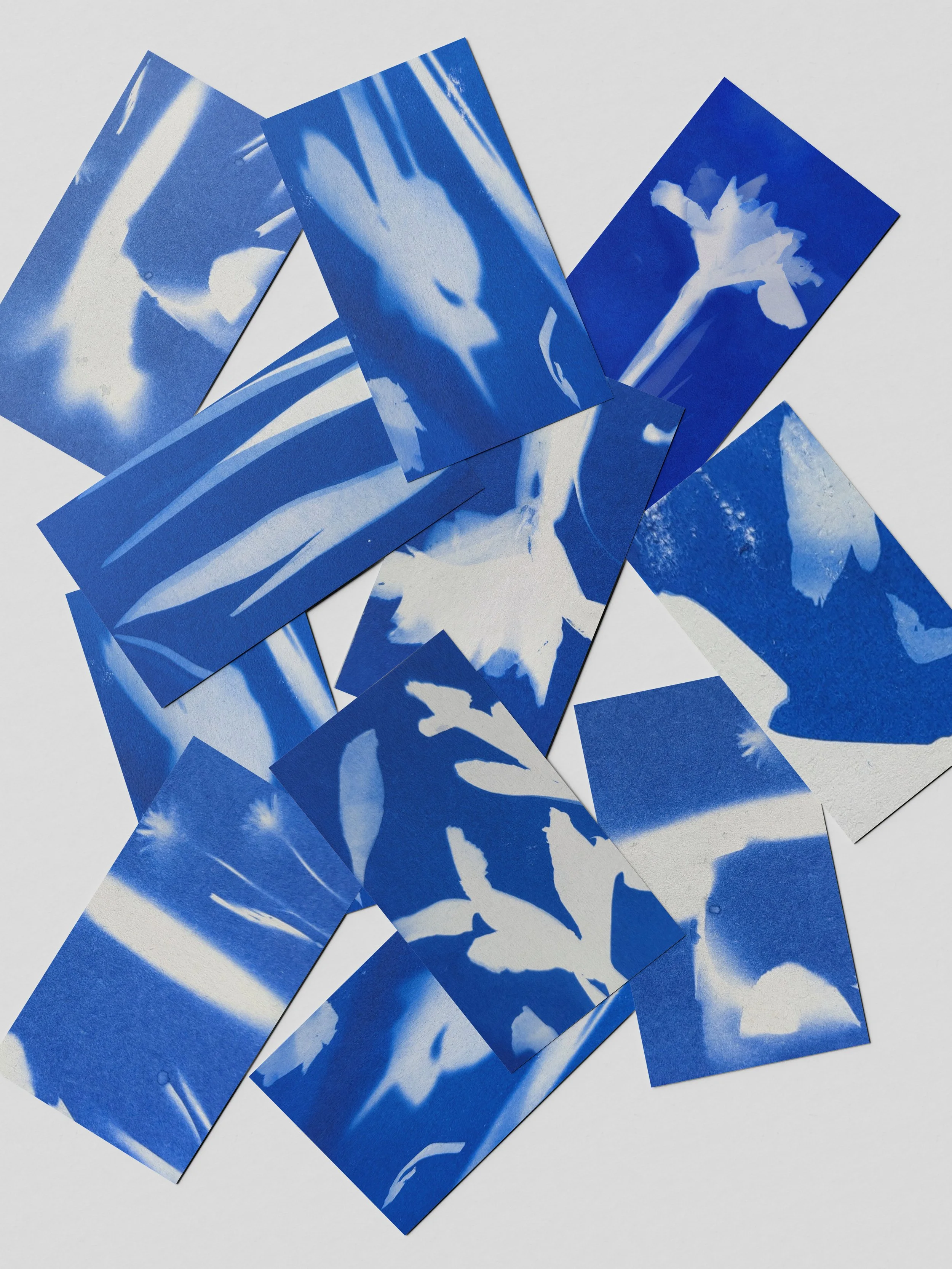 Studio Delabrousse Indigo essais.jpg