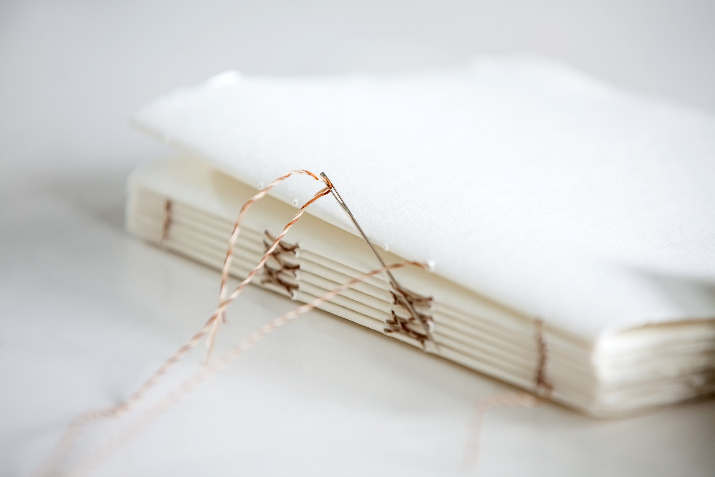 AdobeStock_90125435.jpeg