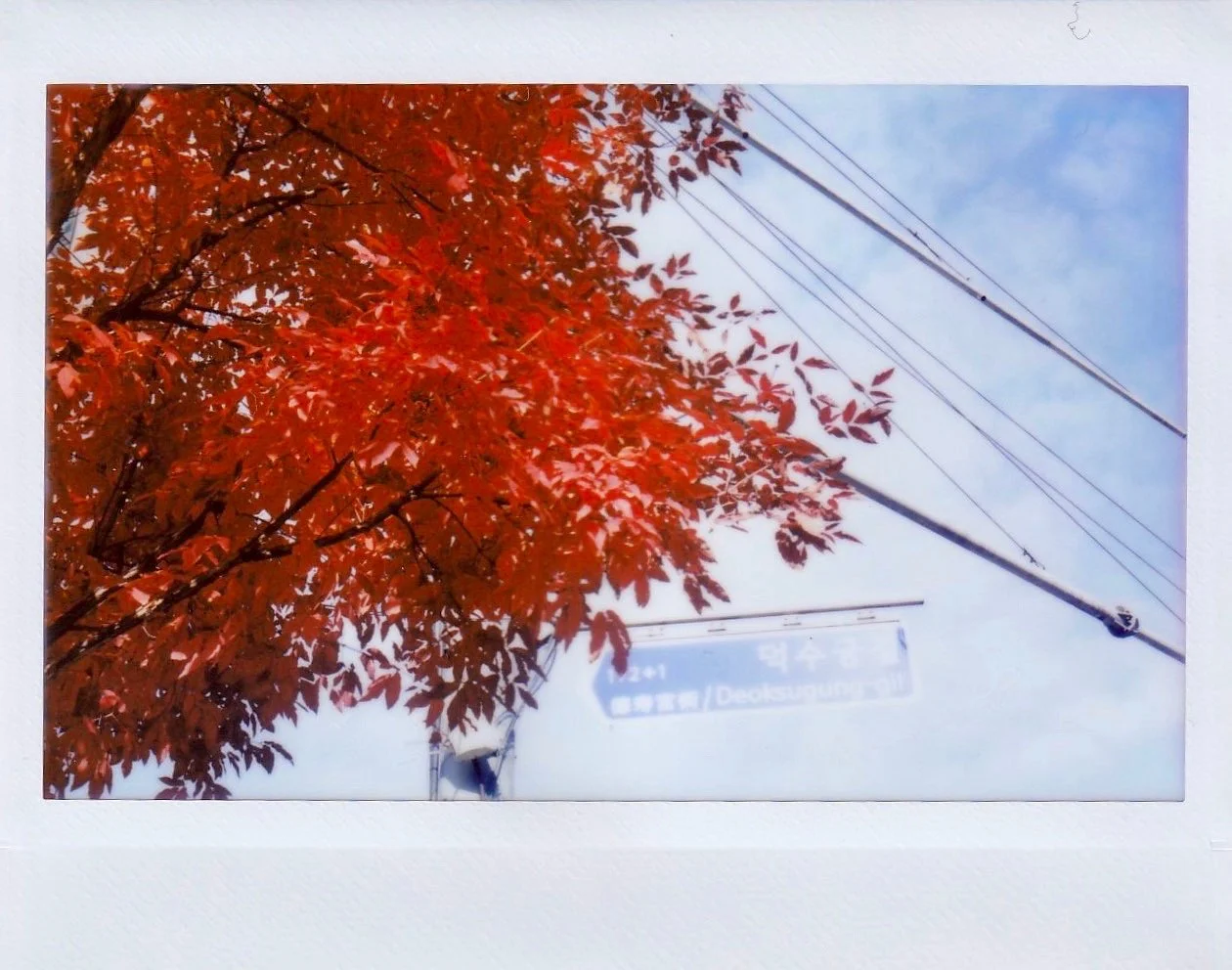 Instant Autumn