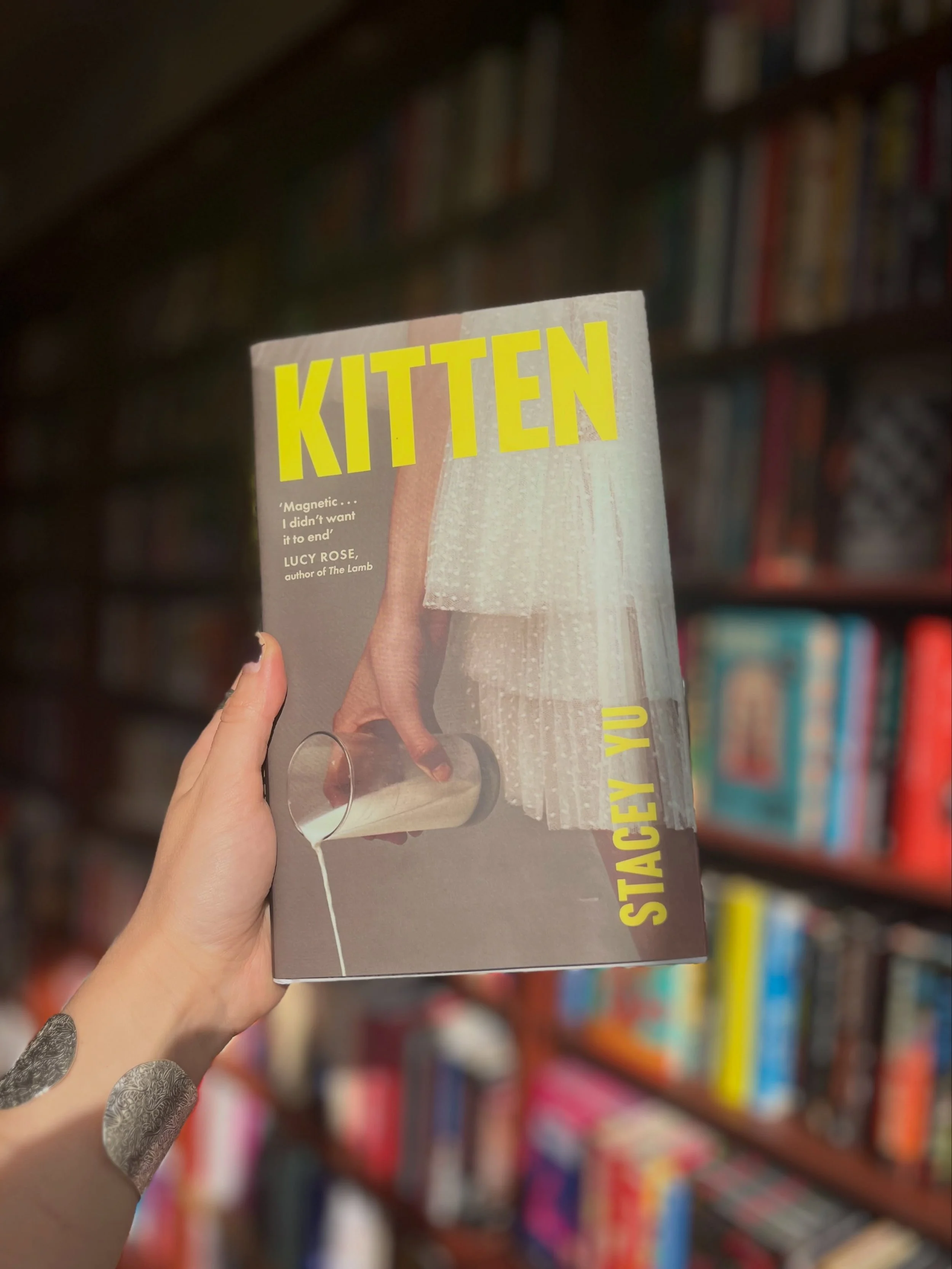 Beautiful cover for a strange and wonderful premise&hellip;
~Katie hasn&rsquo;t spoken to her mother in a year when her boyfriend introduces her to his cat Silver. Silver&rsquo;s acceptance of Katie cracks open something inside of her: an unravelling