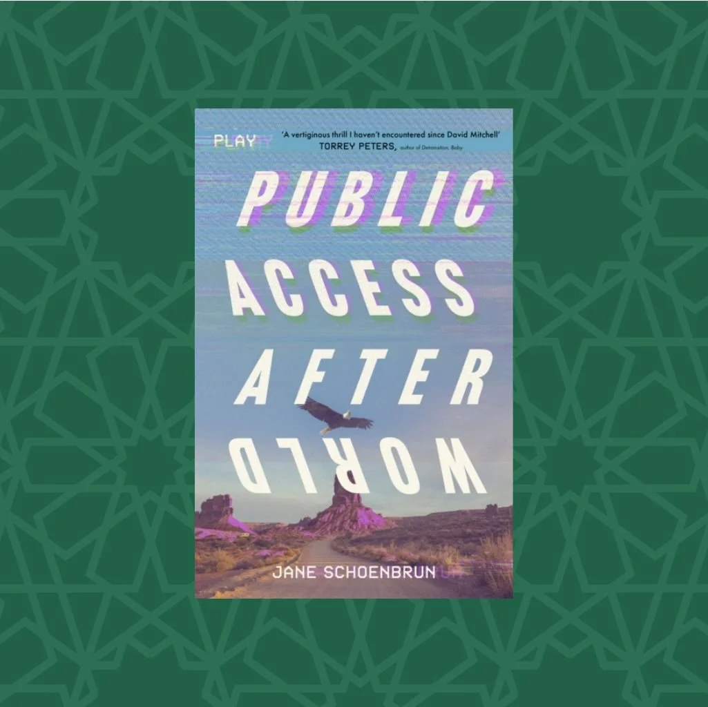 Public Access Afterworld by Jane Schoenbrun (Signed)