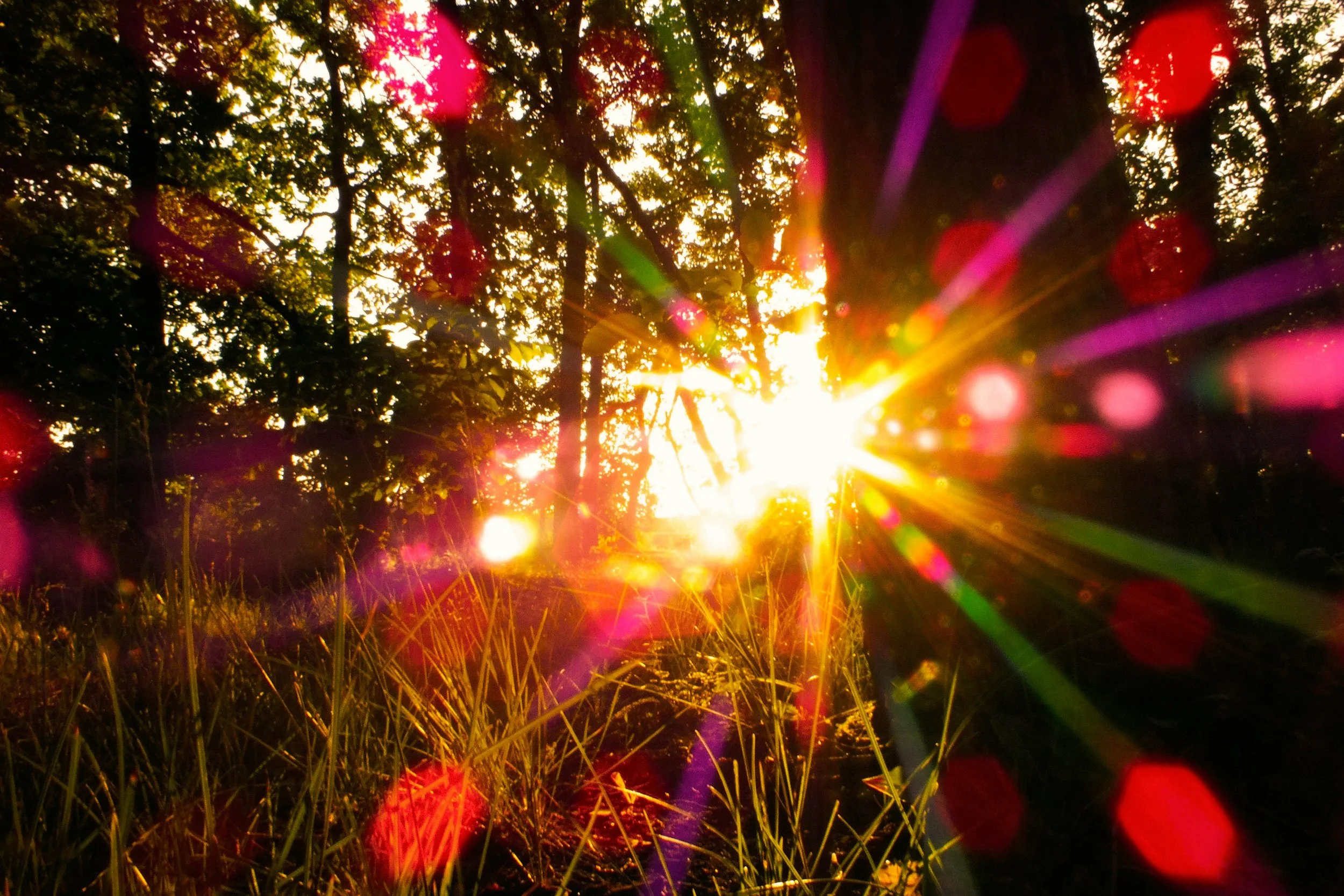 Summer Solstice Energy: Honoring Your Inner Sun